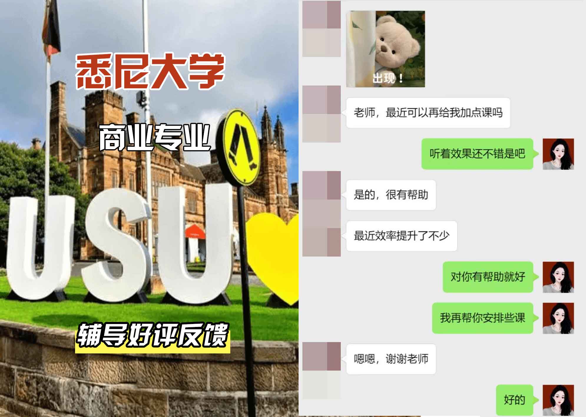 悉尼大学USYD商业辅导好评反馈