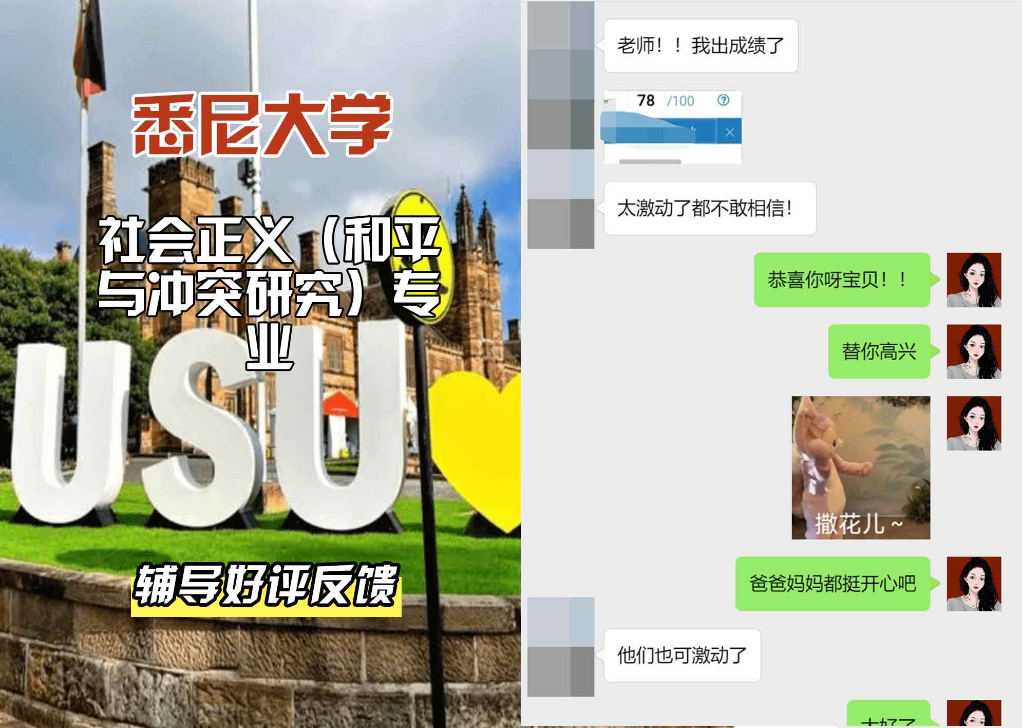 悉尼大学USYD社会正义（和平与冲突研究）辅导好评反馈