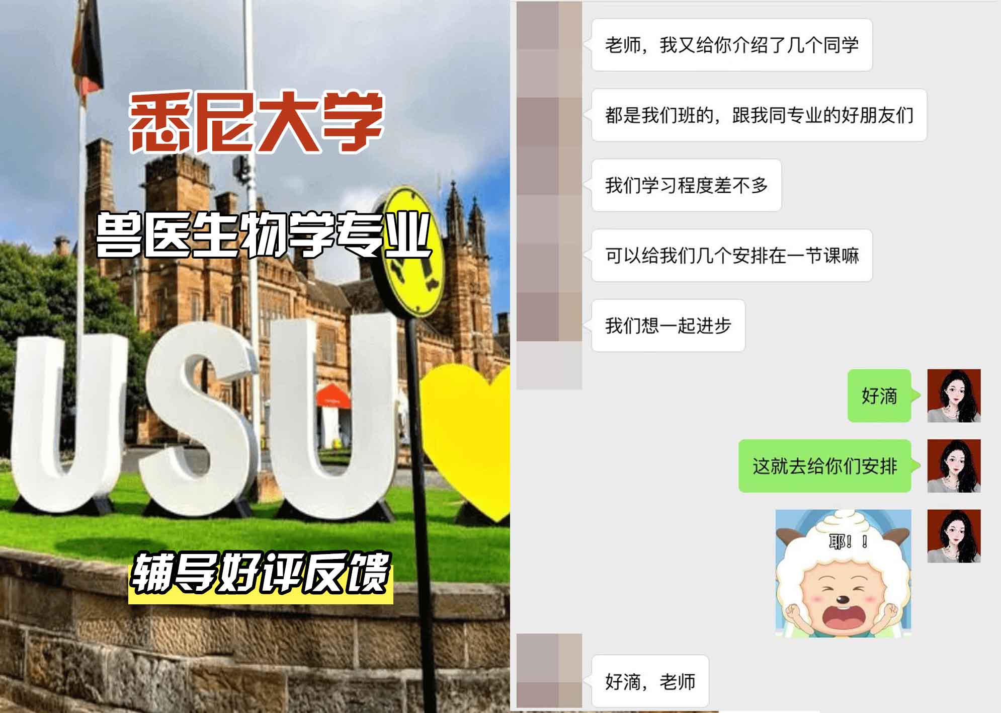 悉尼大学USYD兽医生物学辅导好评反馈