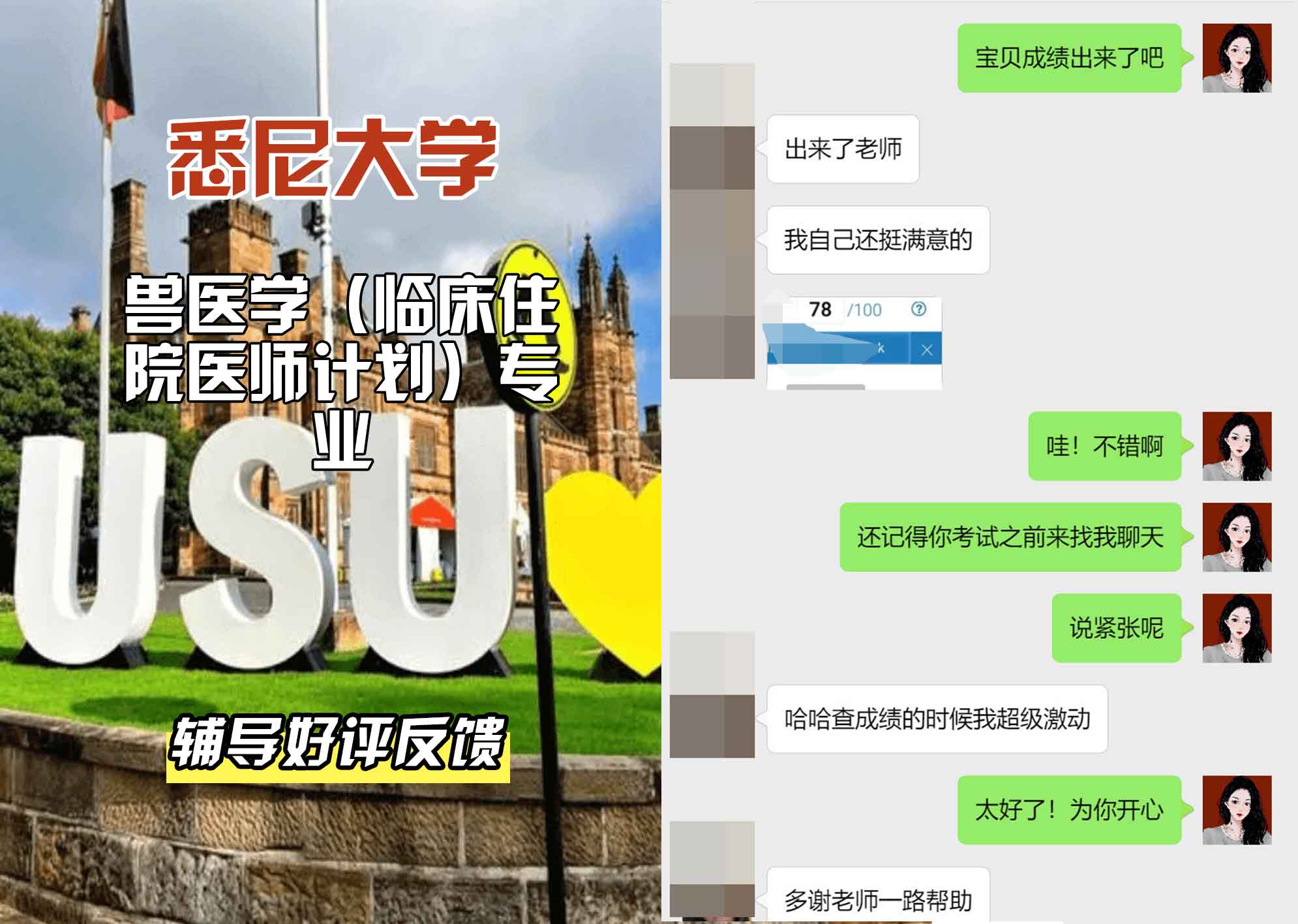 悉尼大学USYD兽医学（临床住院医师计划）辅导好评反馈
