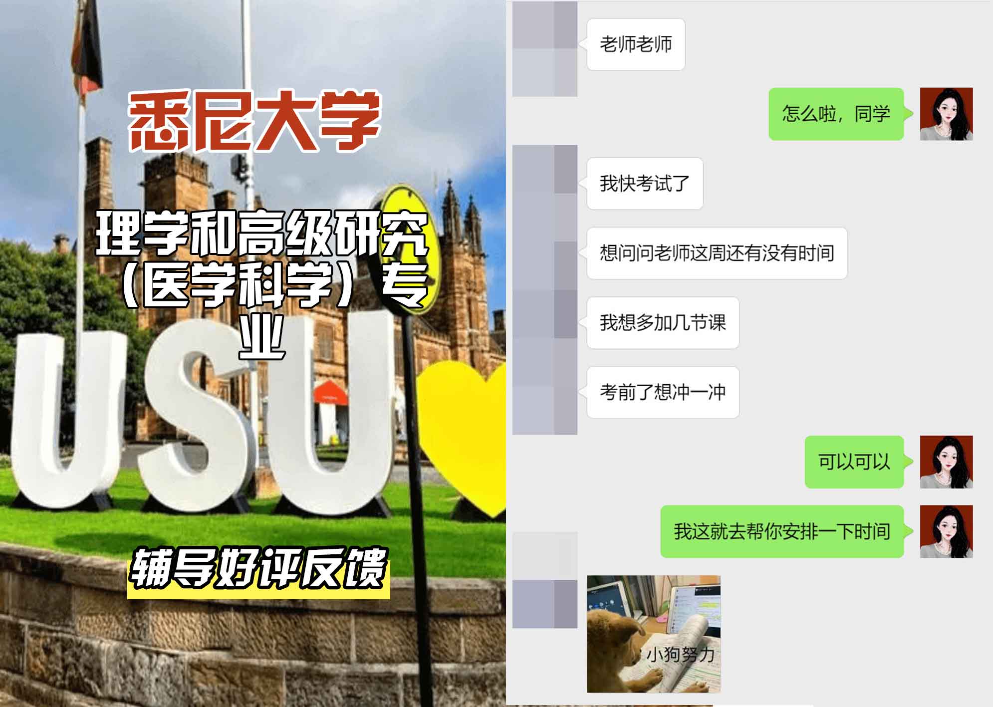 悉尼大学USYD理学和高级研究（医学科学）辅导好评反馈