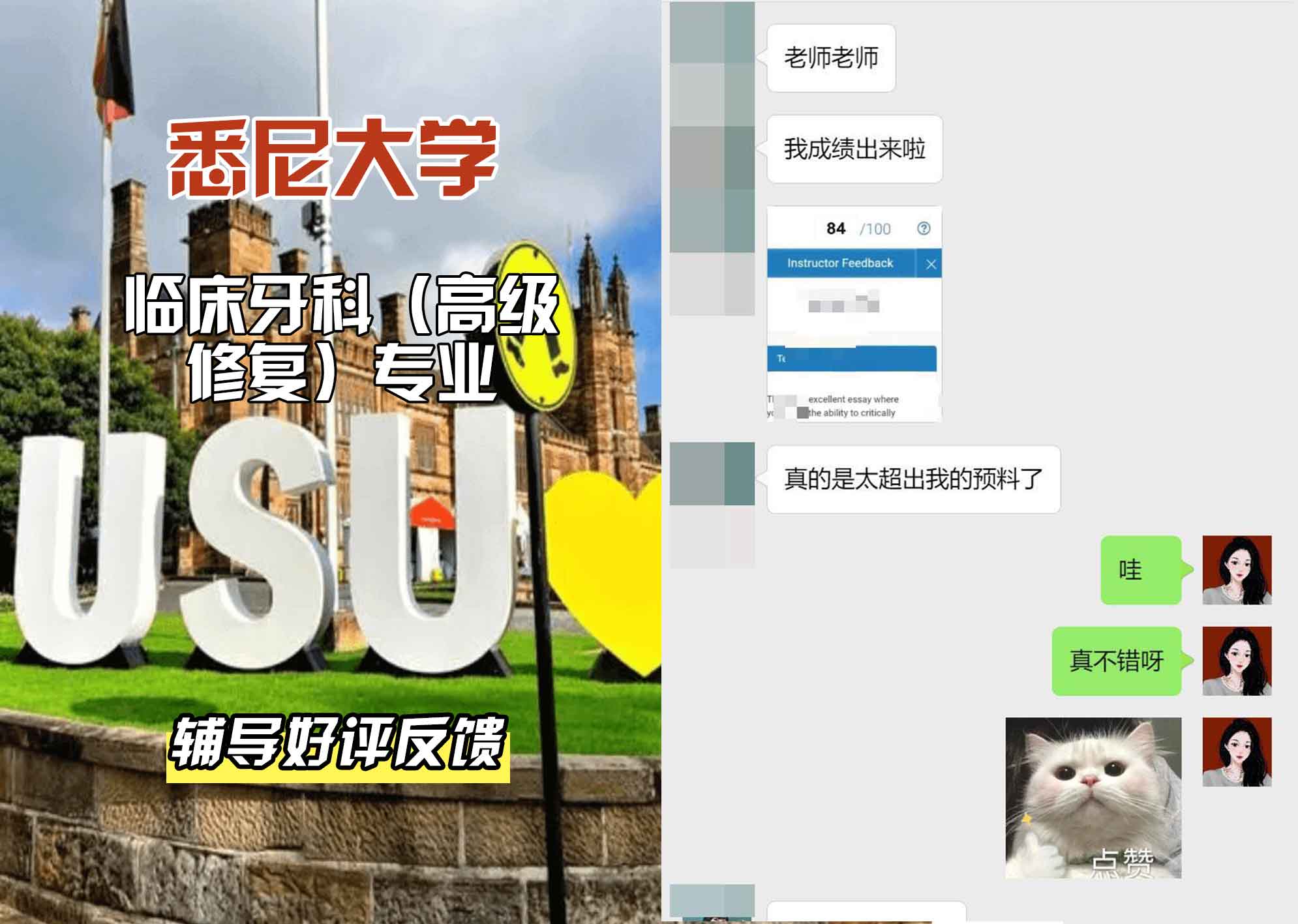 悉尼大学USYD临床牙科（高级修复）辅导好评反馈
