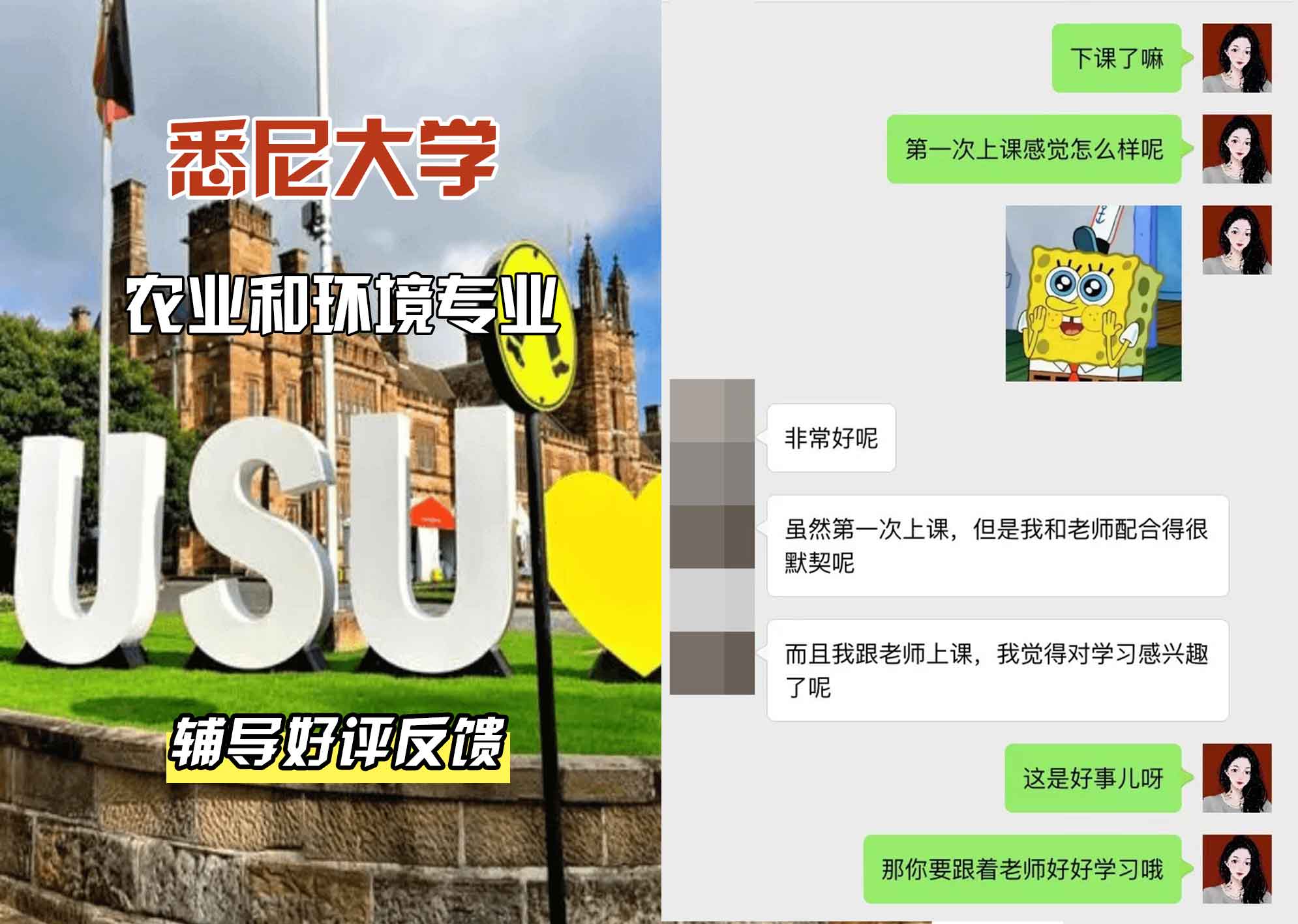 悉尼大学USYD农业和环境辅导好评反馈