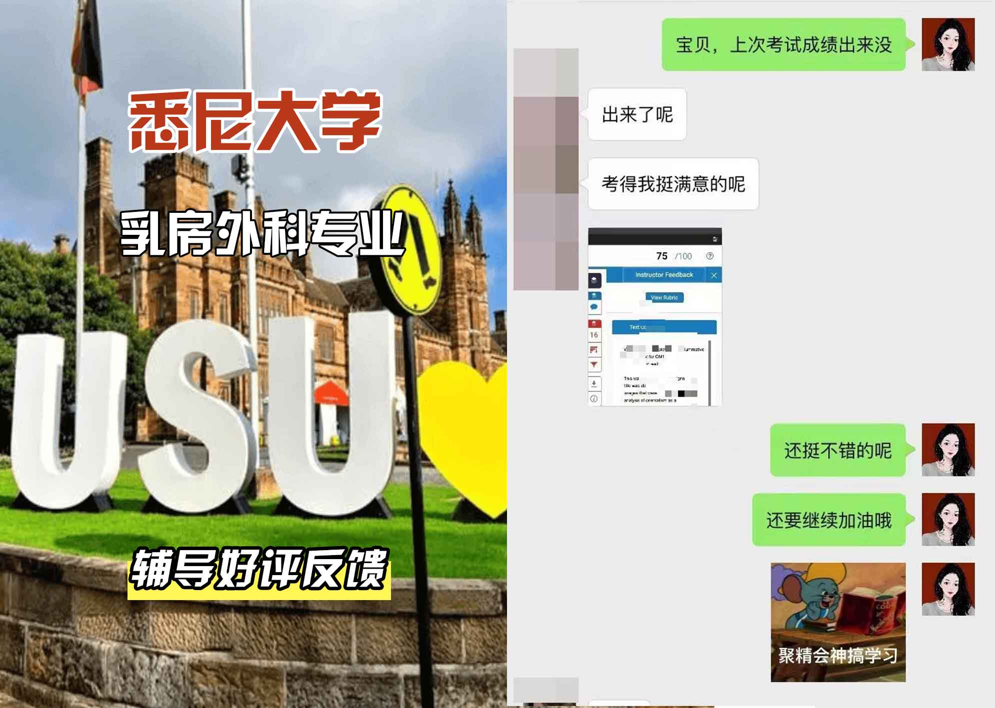 悉尼大学USYD乳房外科辅导好评反馈