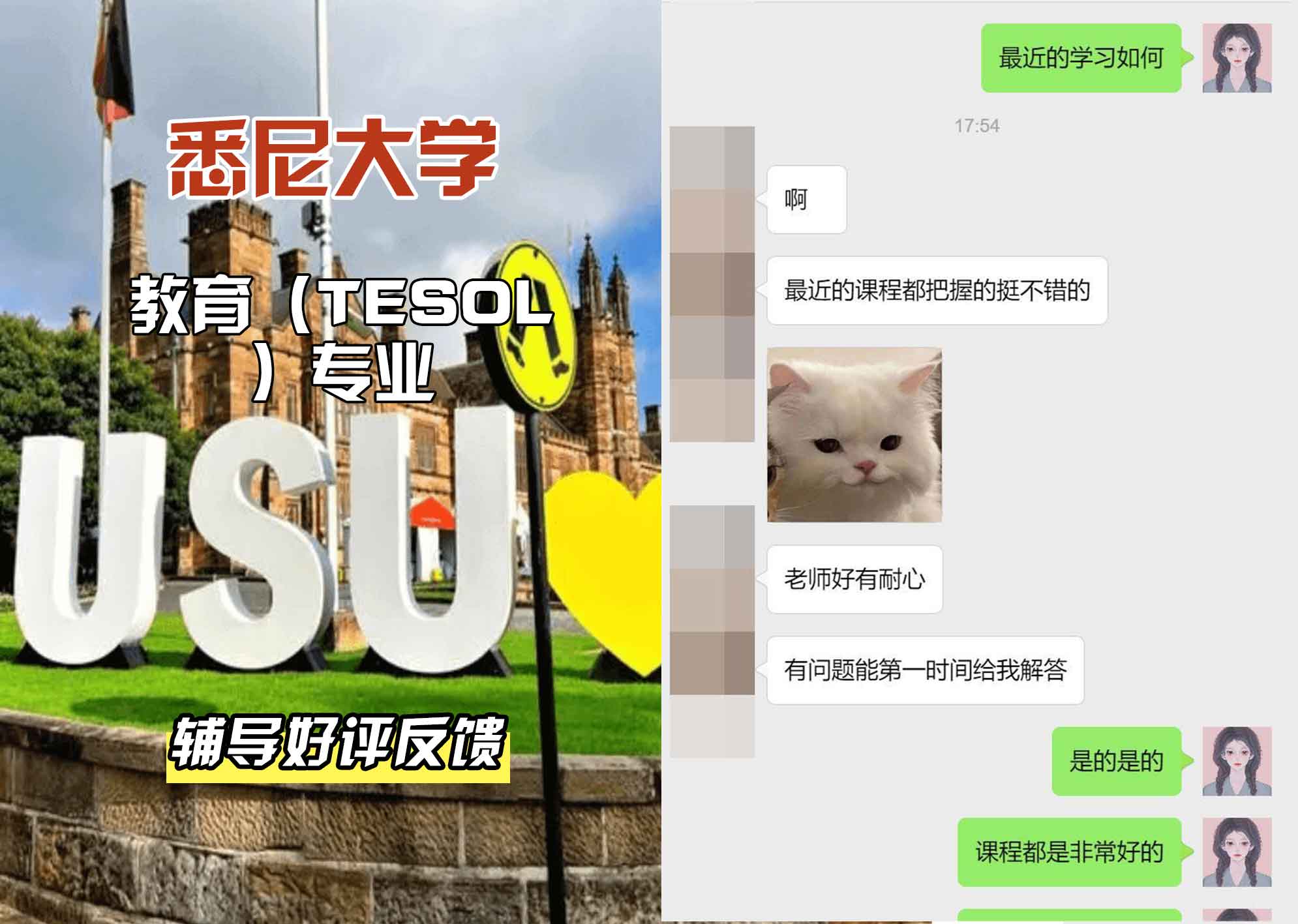 悉尼大学USYD教育（TESOL）辅导好评反馈