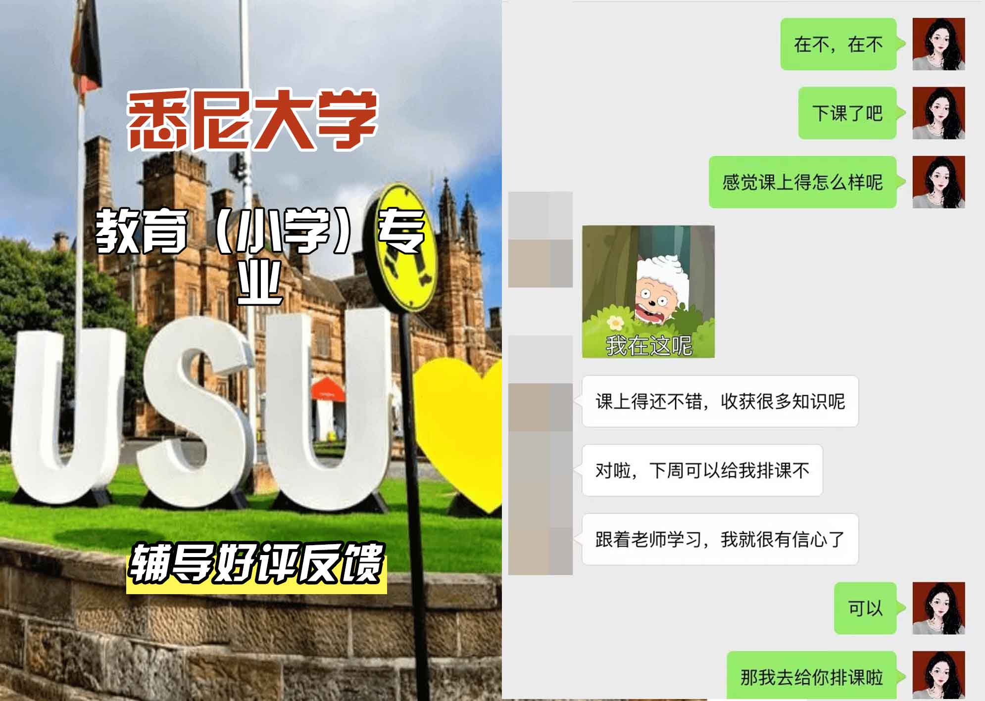 悉尼大学USYD教育（小学）辅导好评反馈