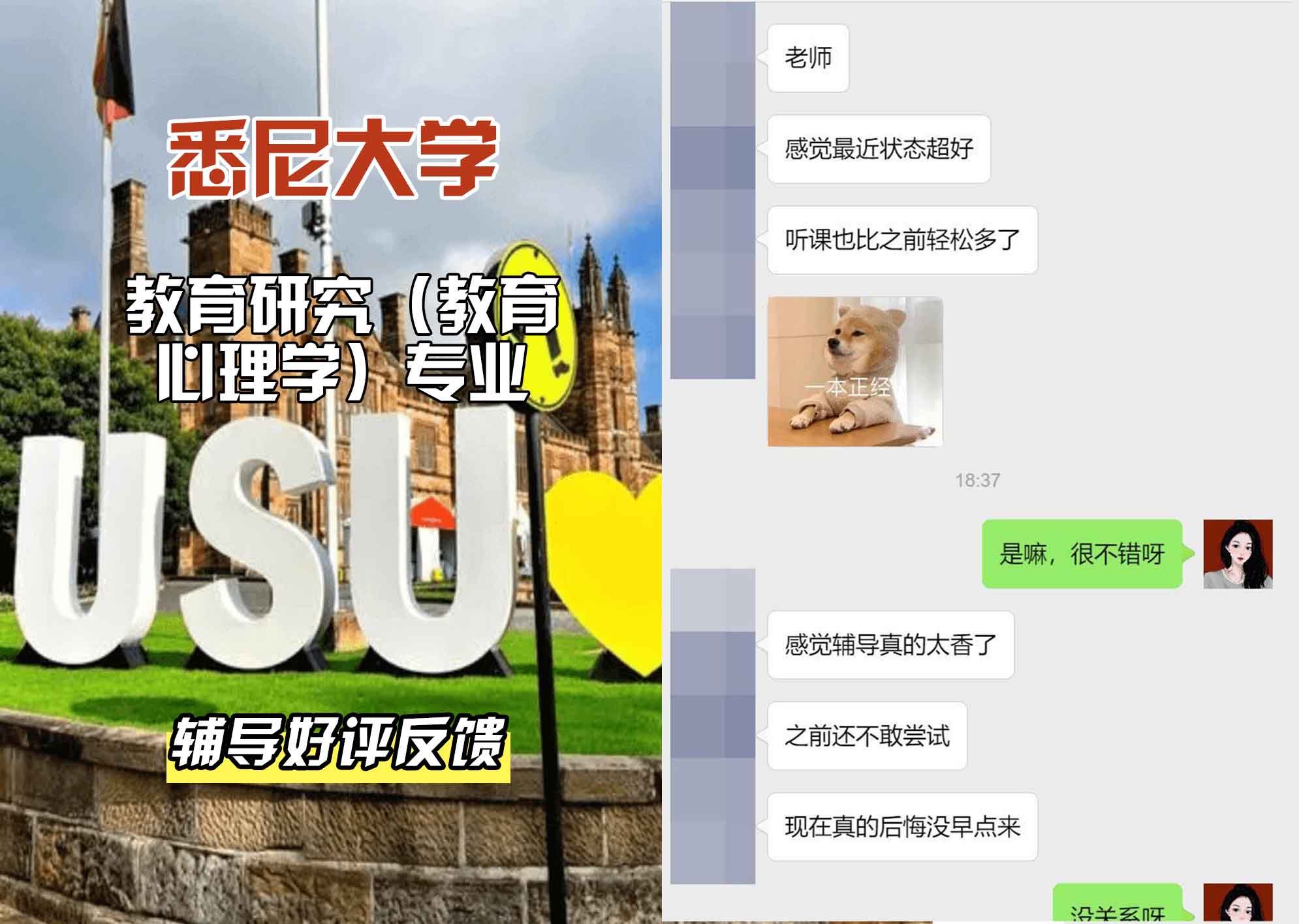 悉尼大学USYD教育研究（教育心理学）辅导好评反馈