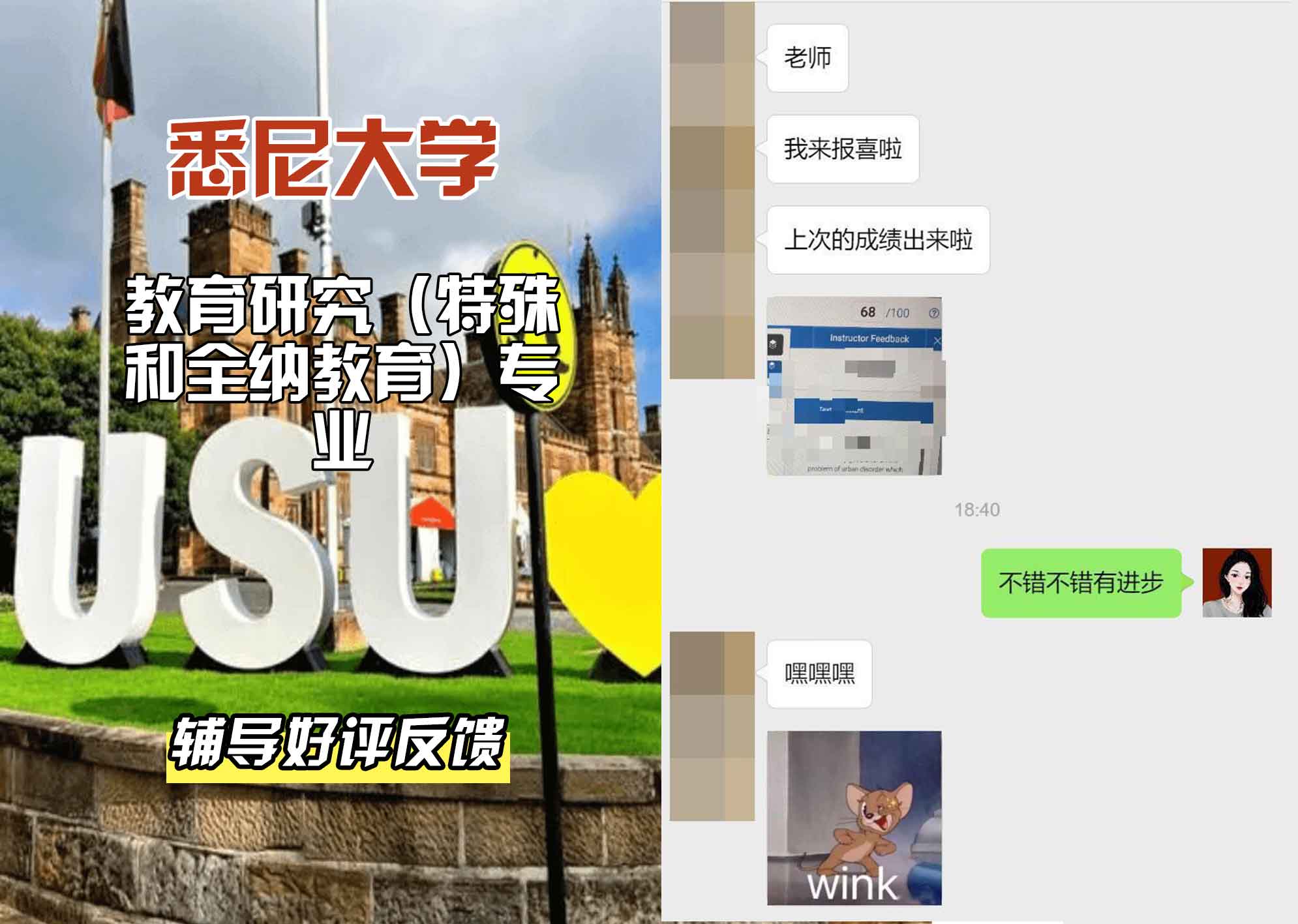 悉尼大学USYD教育研究（特殊和全纳教育）辅导好评反馈