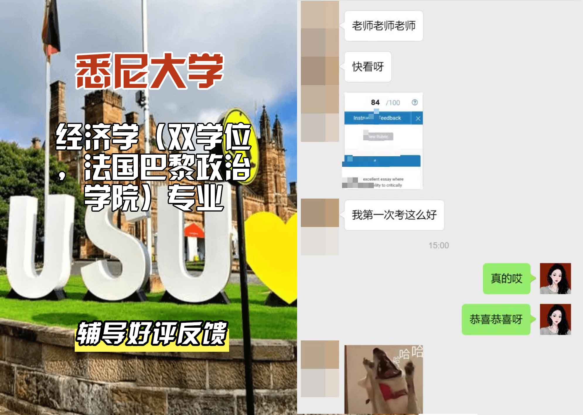 悉尼大学USYD经济学（双学位，法国巴黎政治学院）辅导好评反馈