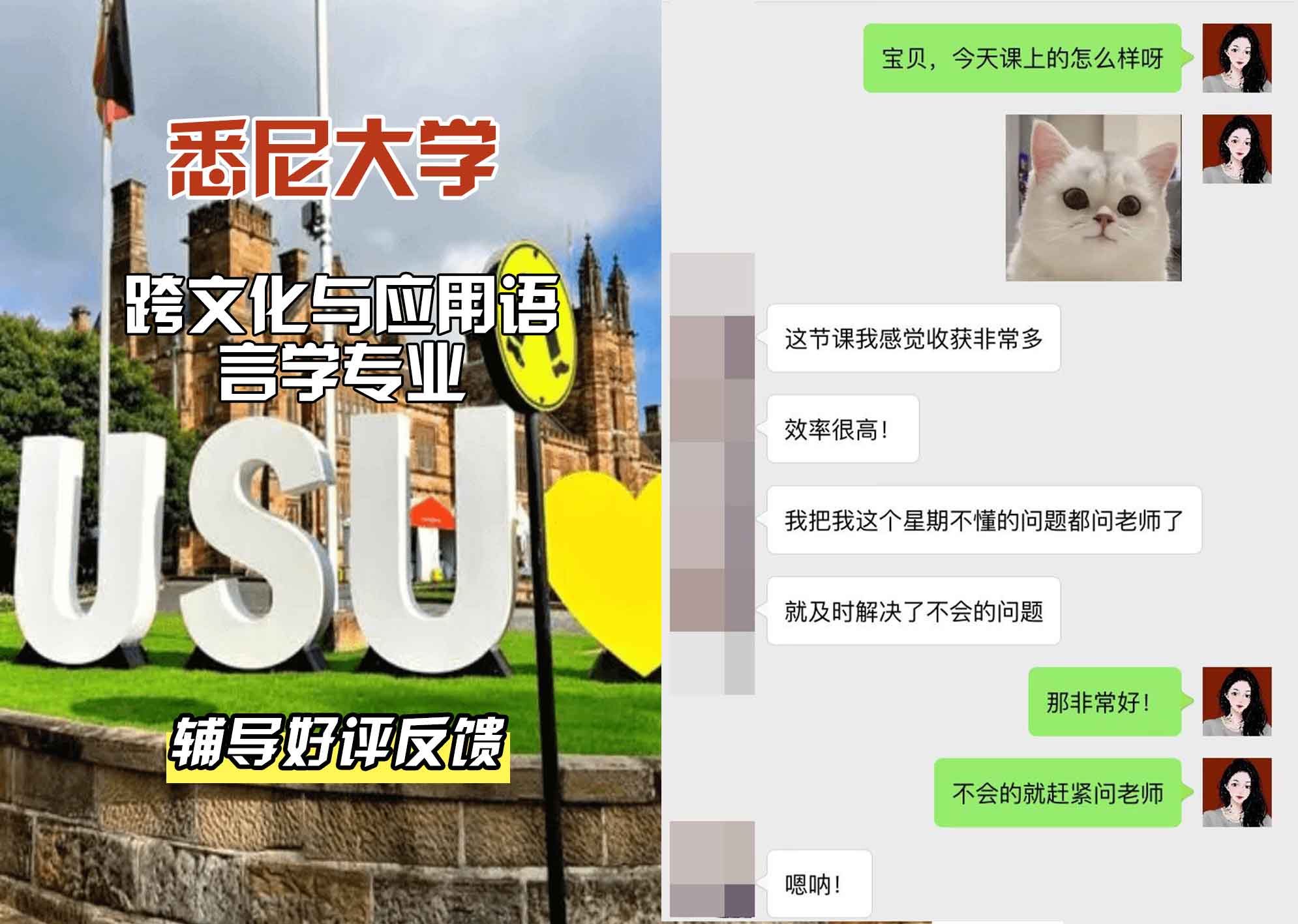 悉尼大学USYD跨文化与应用语言学辅导好评反馈