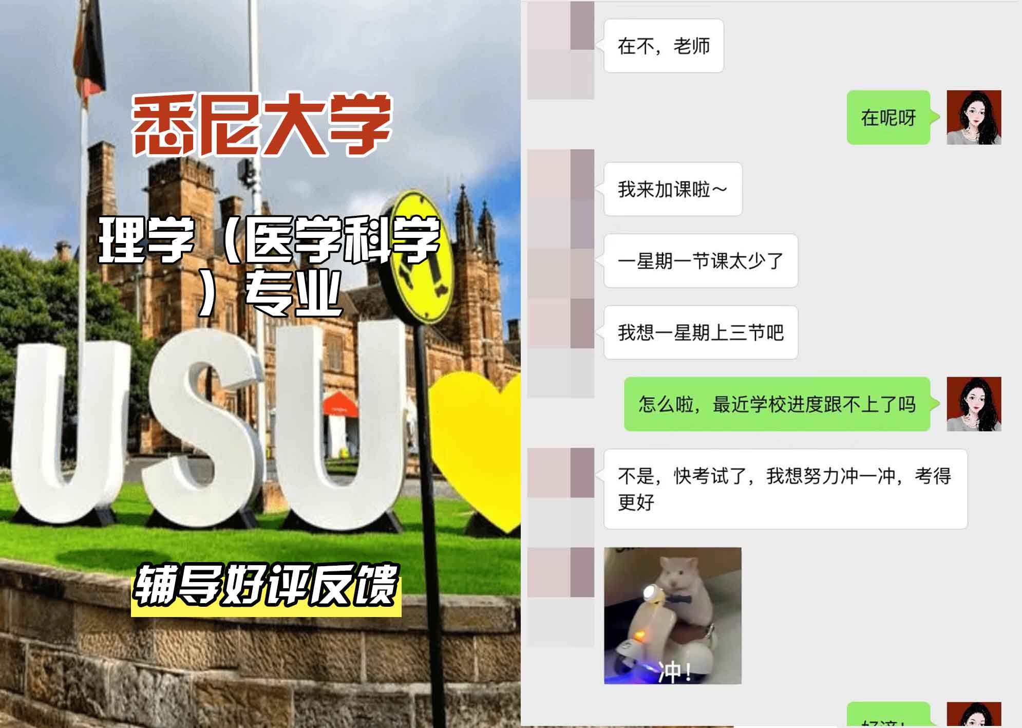 悉尼大学USYD理学（医学科学）辅导好评反馈