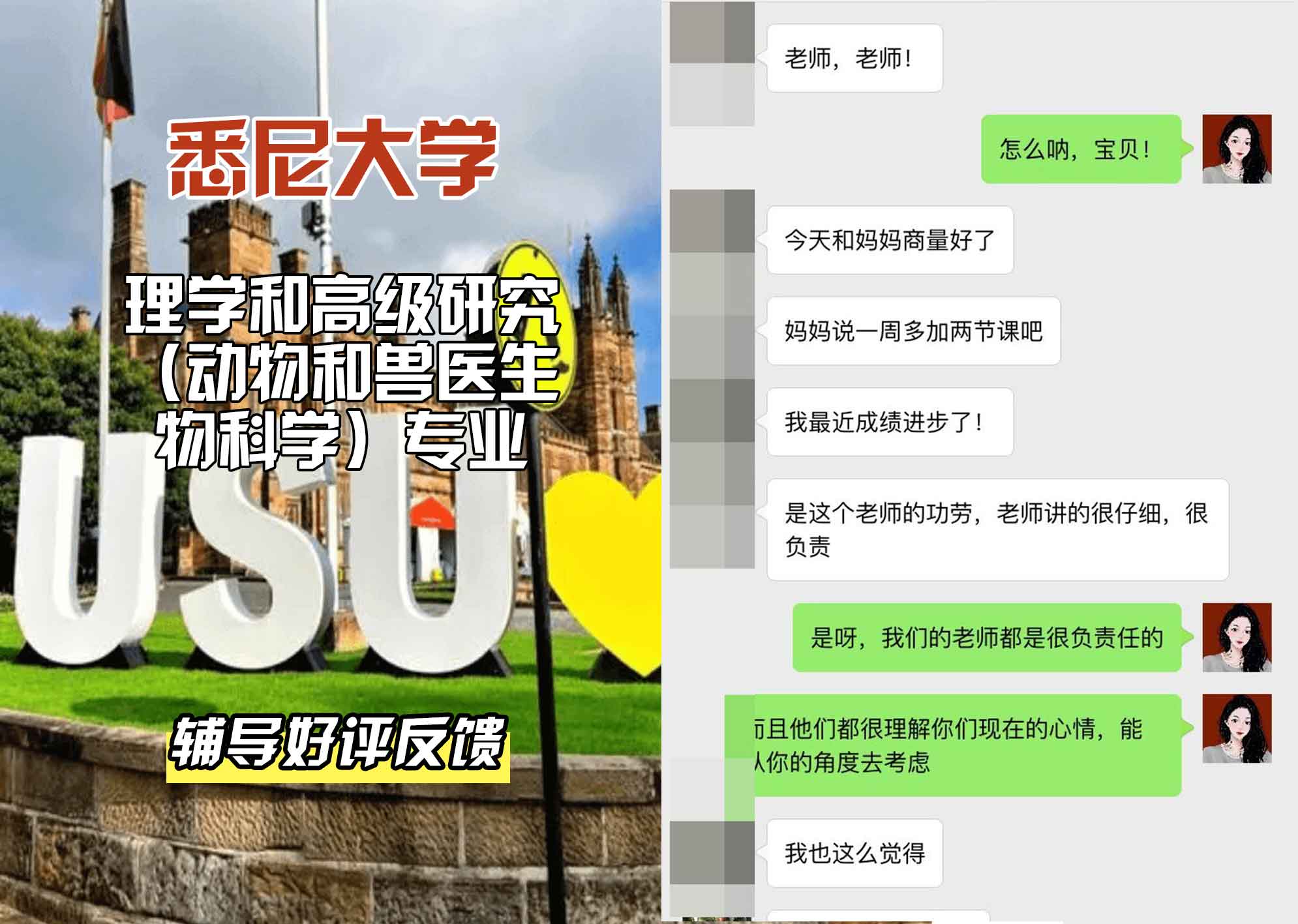 悉尼大学USYD理学和高级研究（动物和兽医生物科学）辅导好评反馈