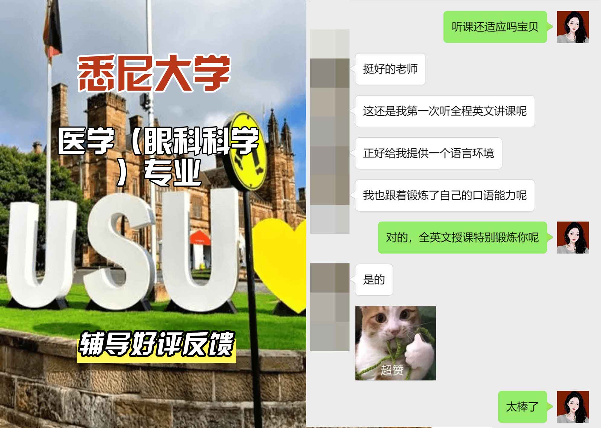 悉尼大学USYD医学（眼科科学）辅导好评反馈