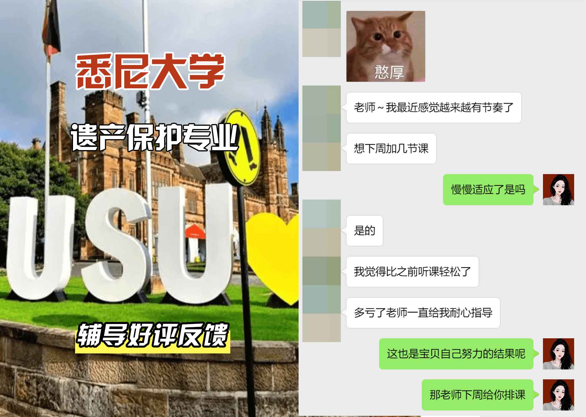 悉尼大学USYD遗产保护辅导好评反馈