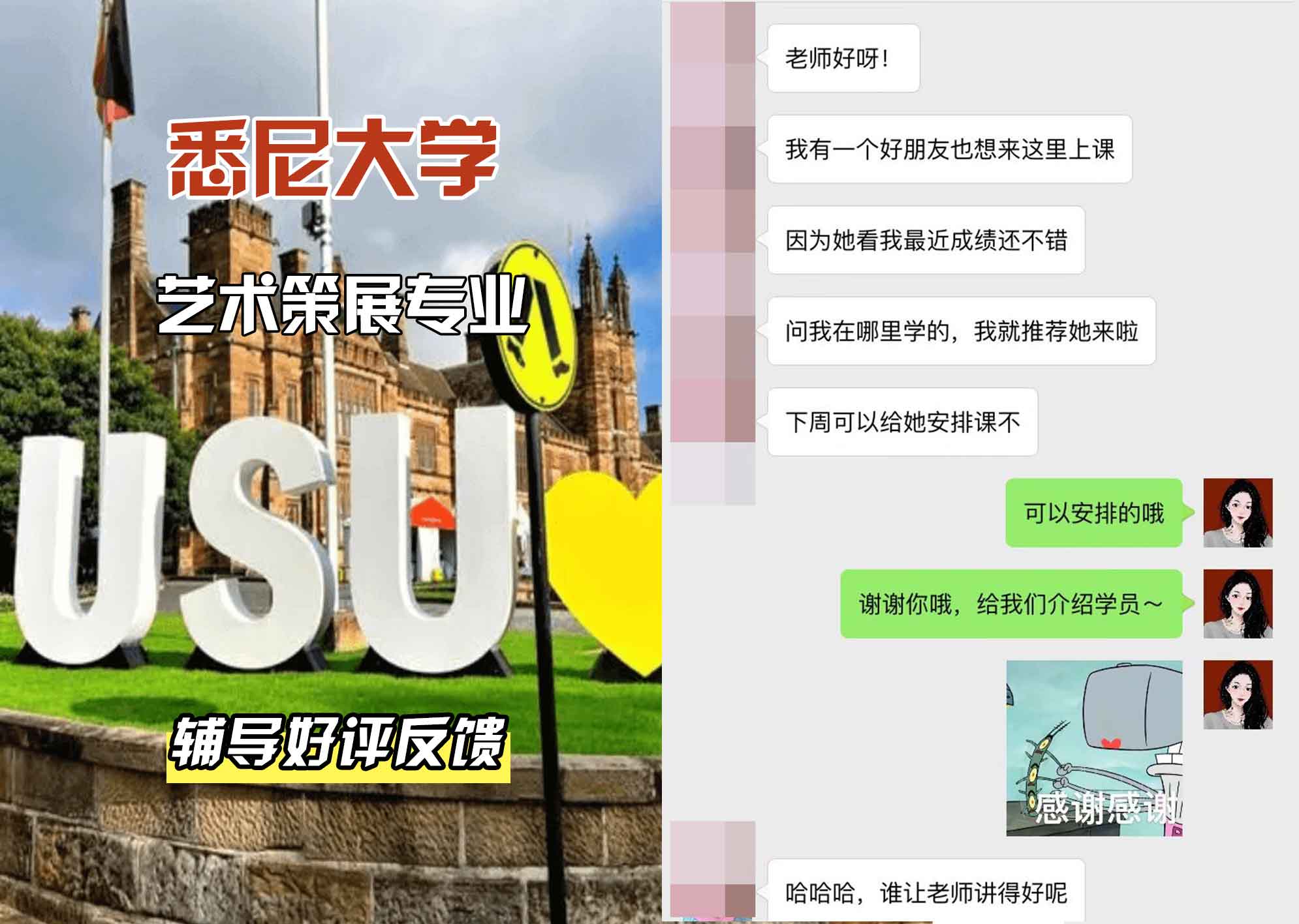 悉尼大学USYD艺术策展辅导好评反馈