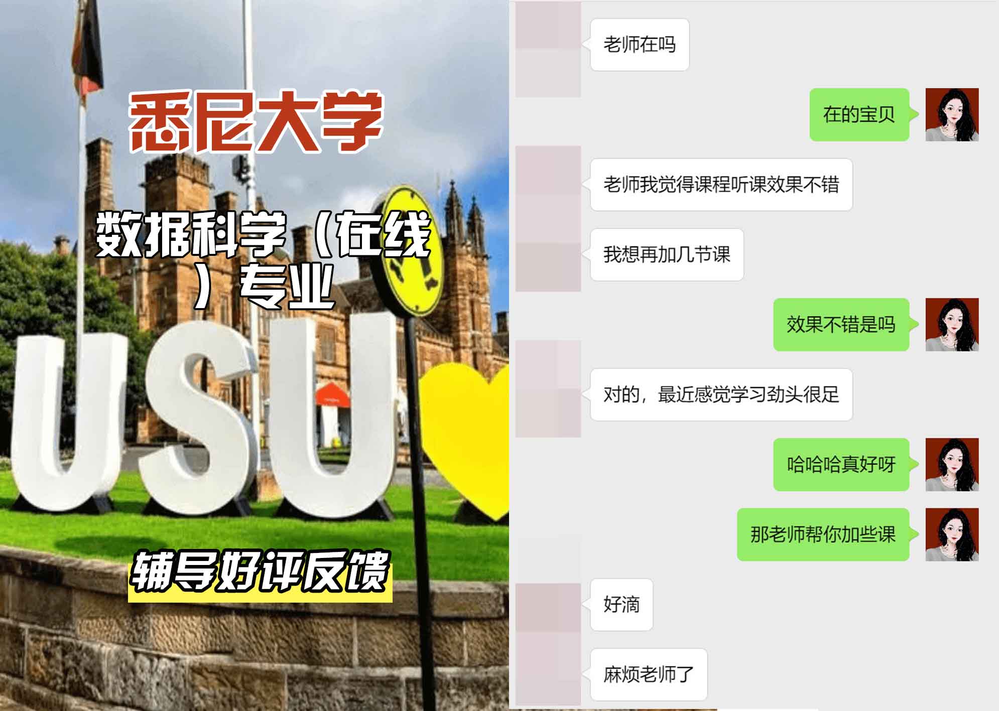 悉尼大学USYD数据科学（在线）辅导好评反馈