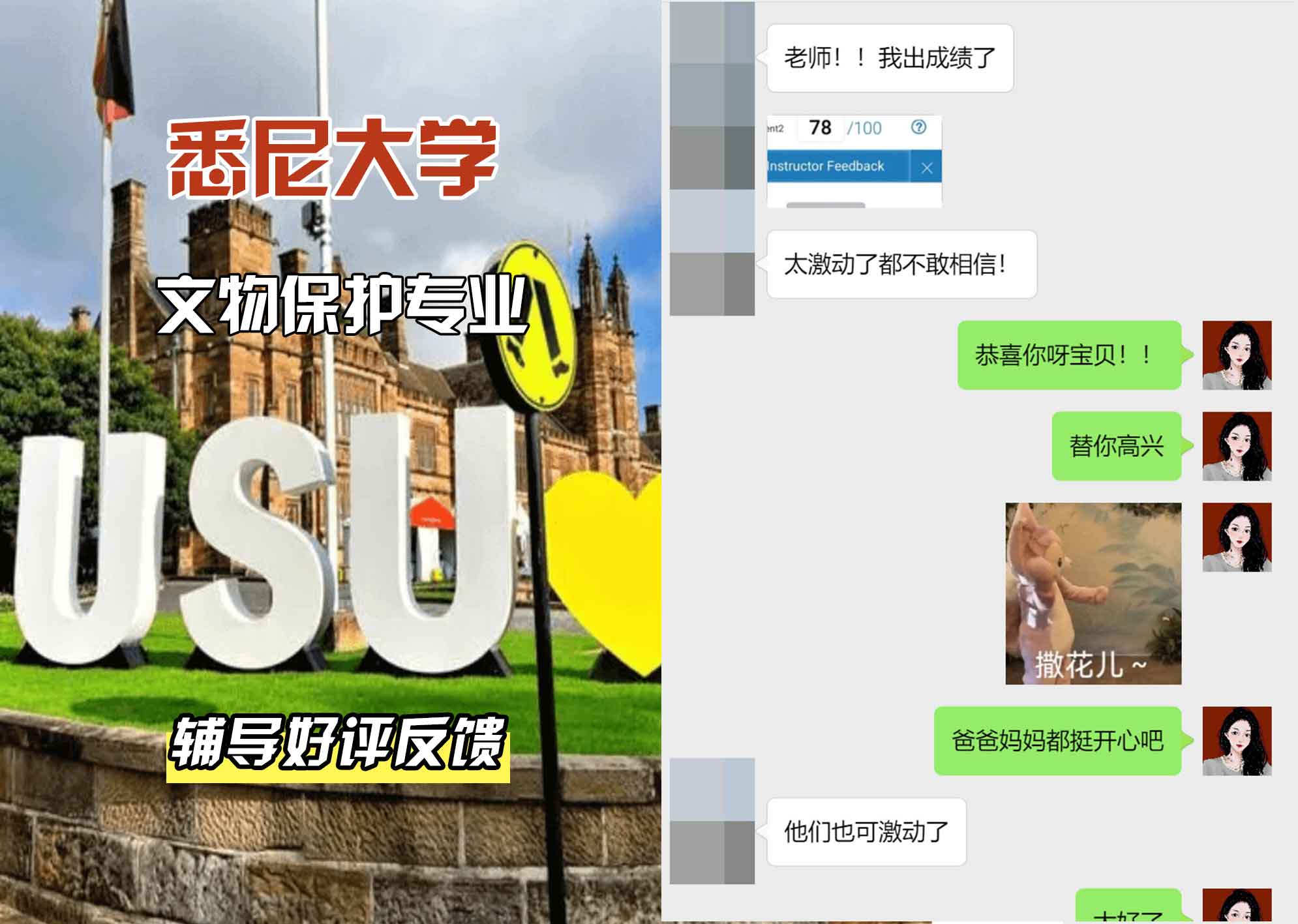 悉尼大学USYD文物保护辅导好评反馈