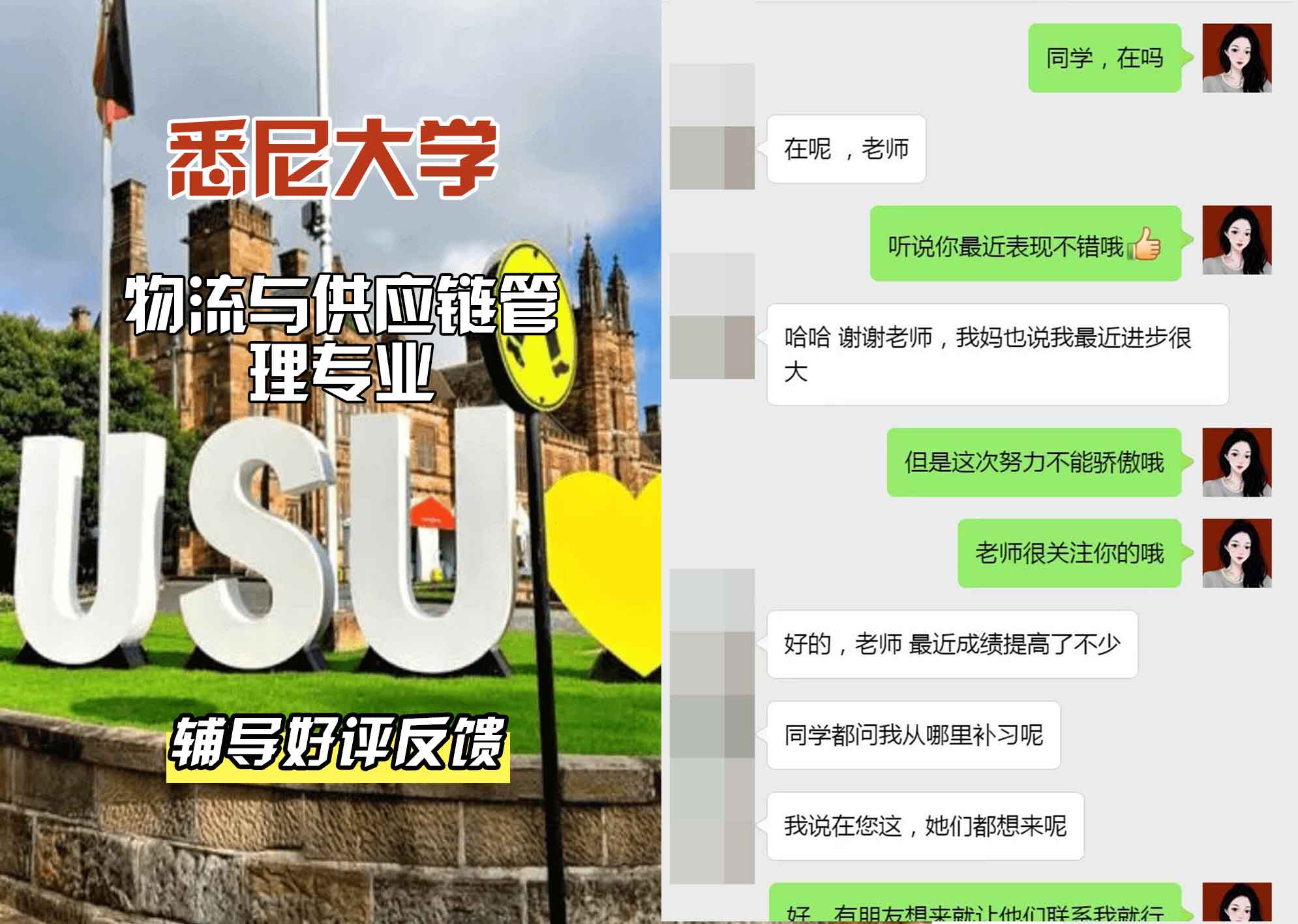 悉尼大学USYD物流与供应链管理辅导好评反馈