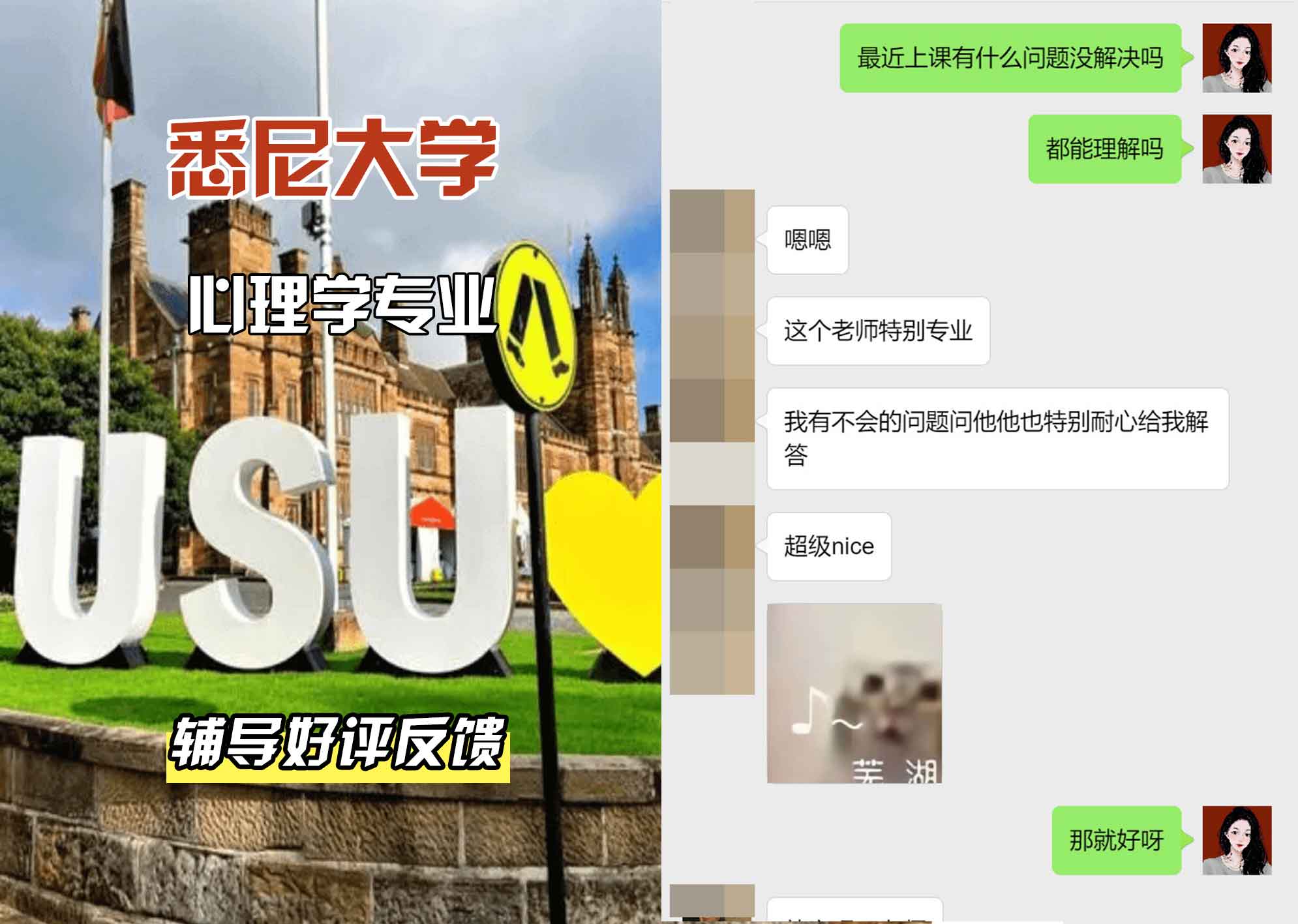 悉尼大学USYD心理学辅导好评反馈