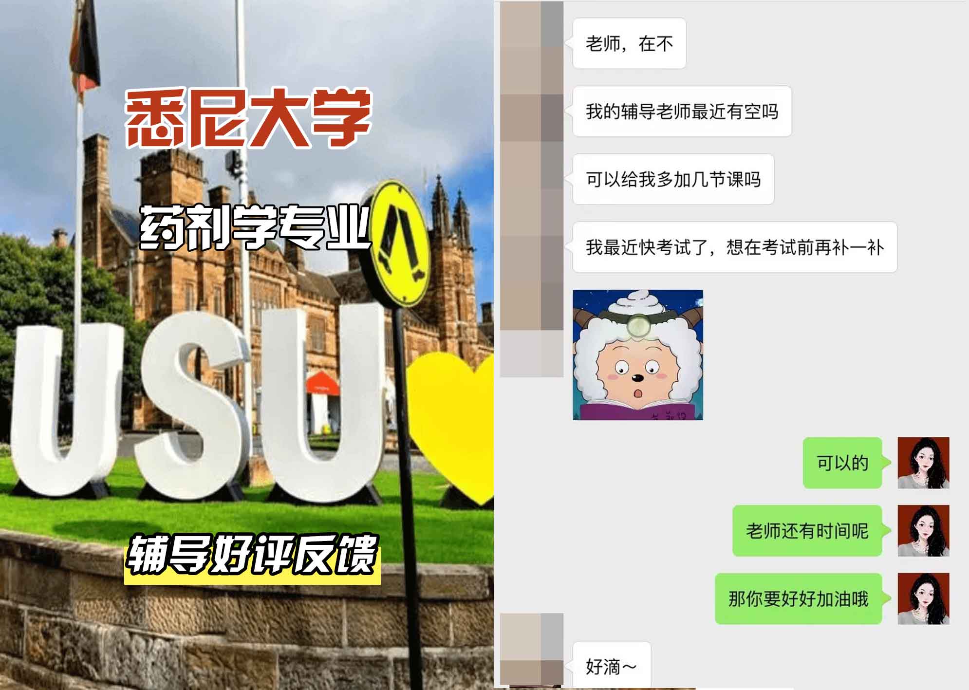 悉尼大学USYD药剂学辅导好评反馈
