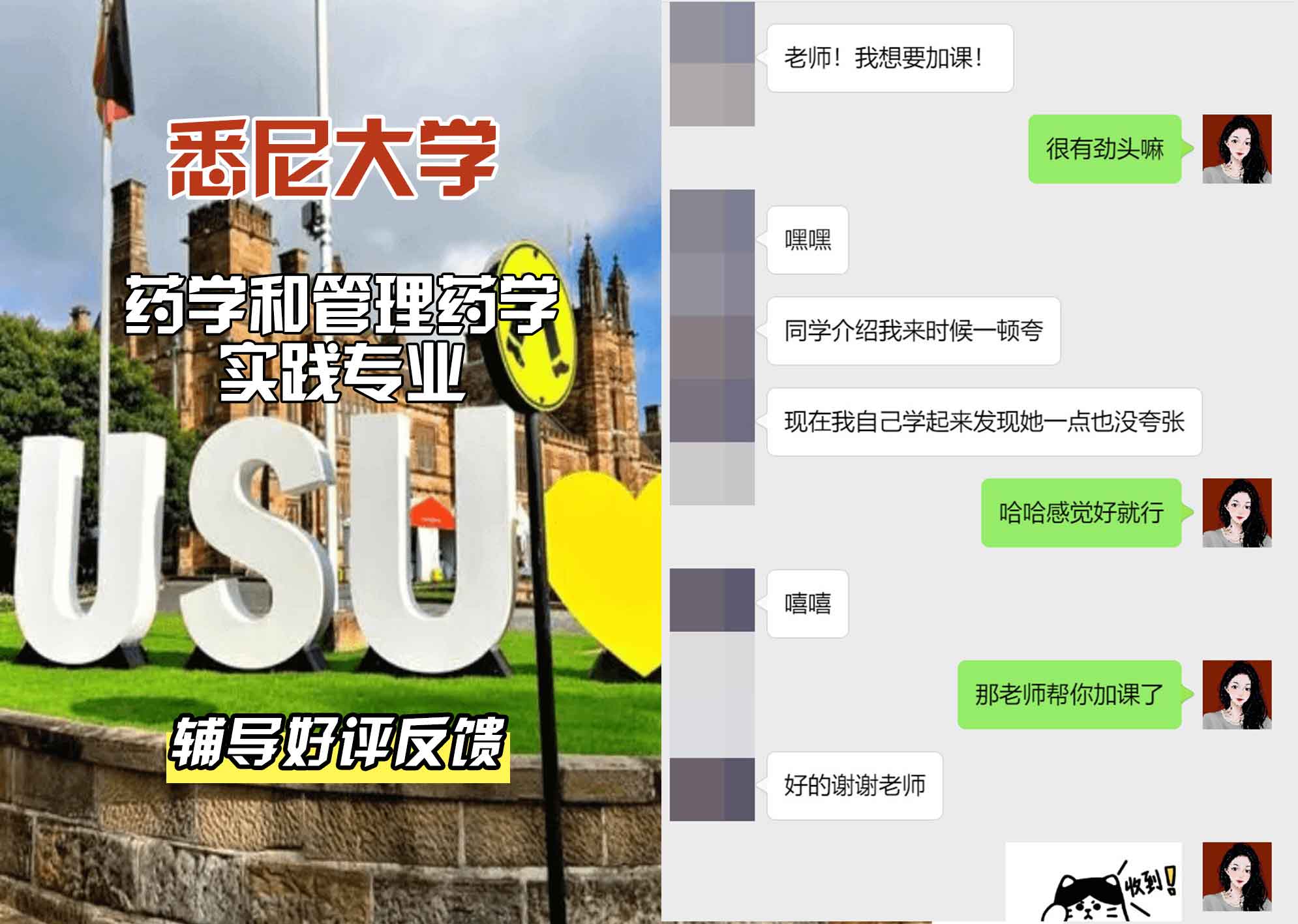 悉尼大学USYD药学和管理/药学实践辅导好评反馈