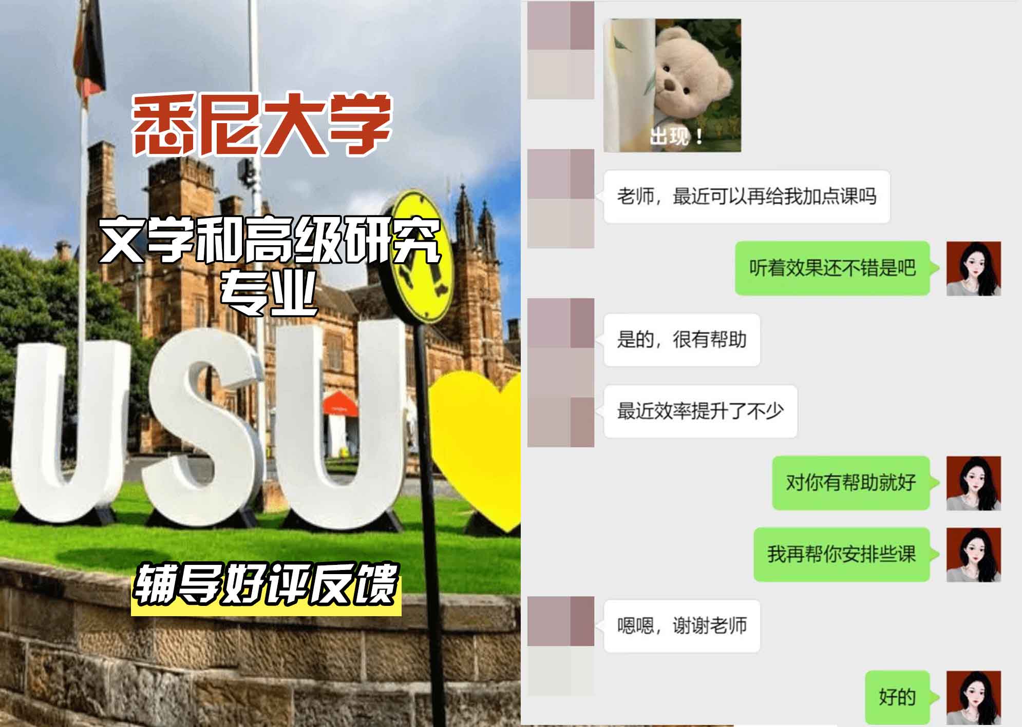 悉尼大学USYD文学和高级研究辅导好评反馈