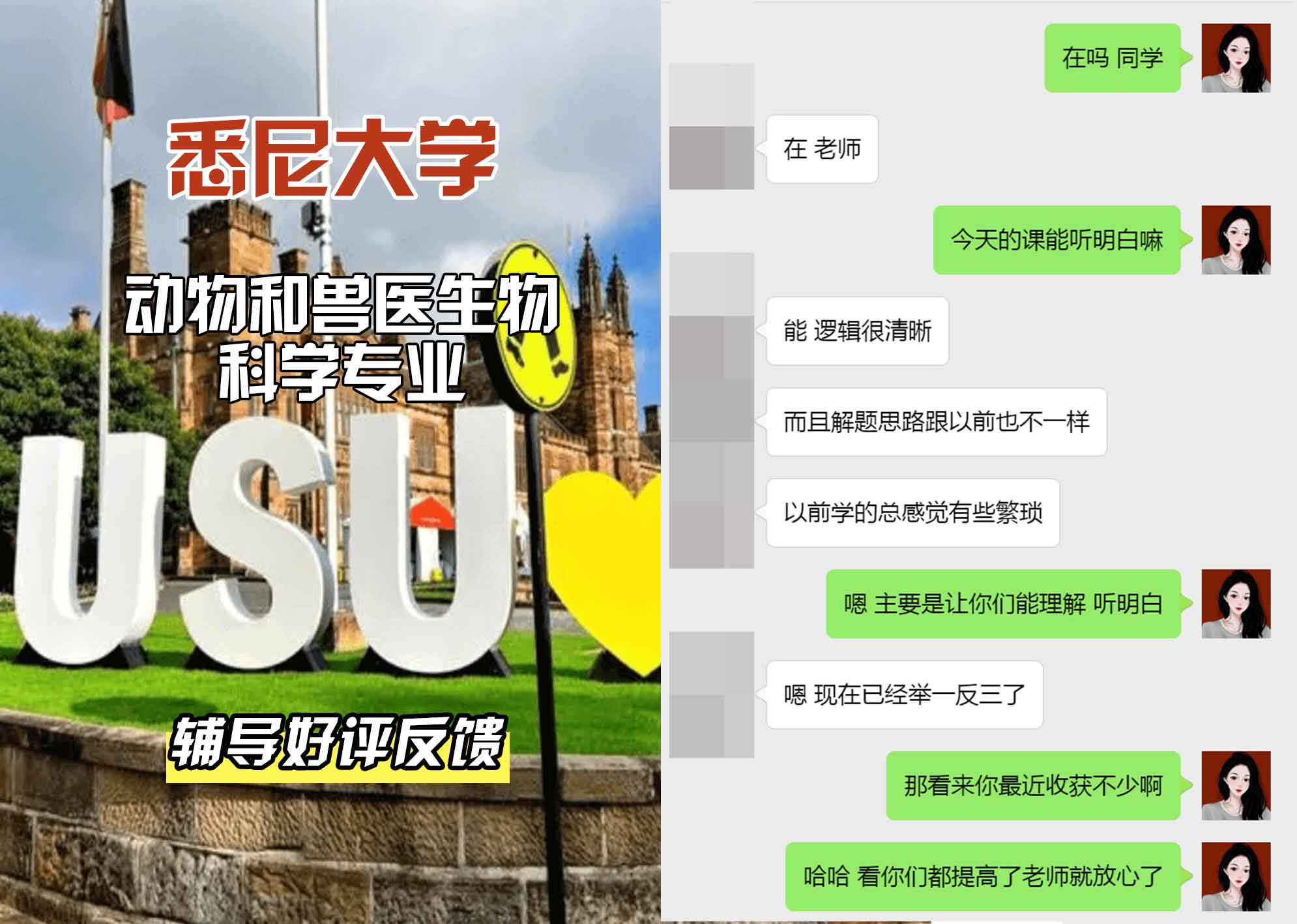 悉尼大学USYD动物和兽医生物科学辅导好评反馈