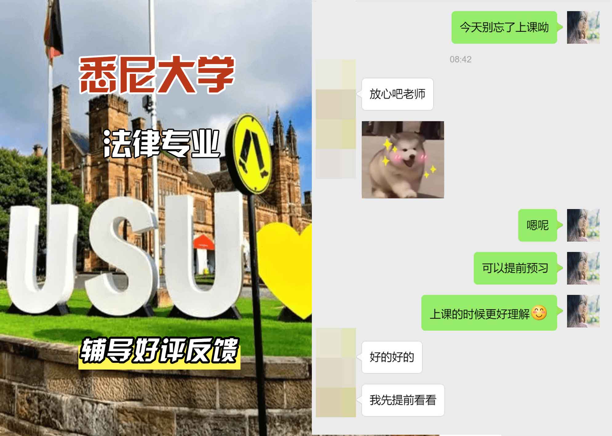 悉尼大学USYD法律专业辅导好评反馈