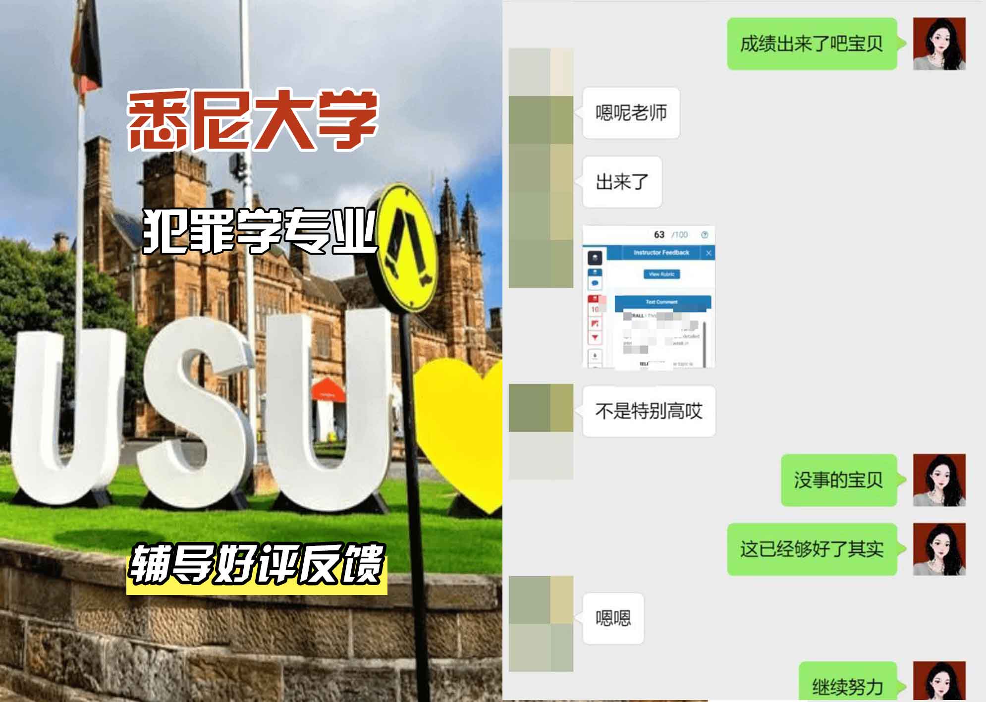 悉尼大学USYD犯罪学专业辅导好评反馈
