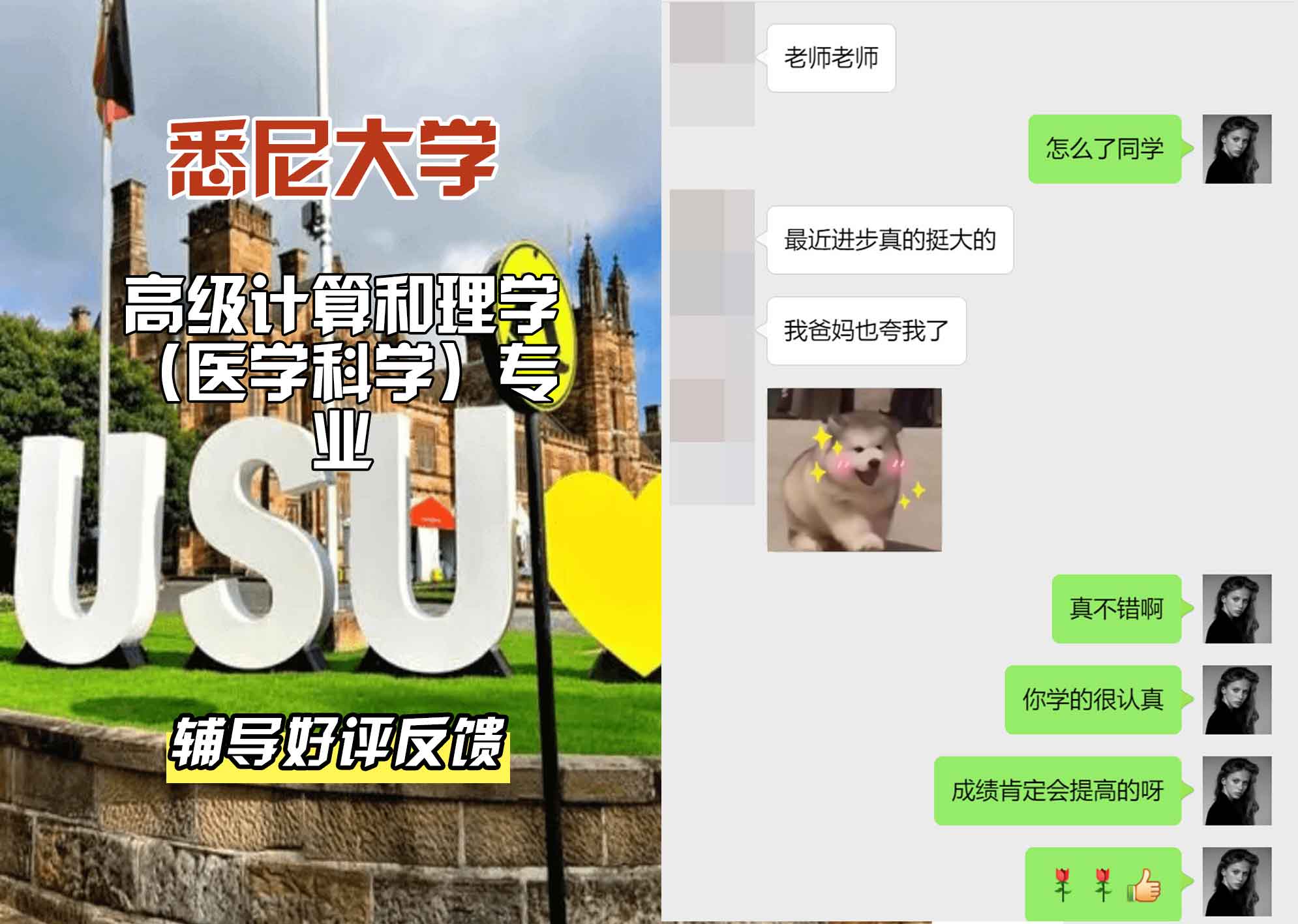 悉尼大学USYD高级计算和理学(医学科学)辅导好评反馈