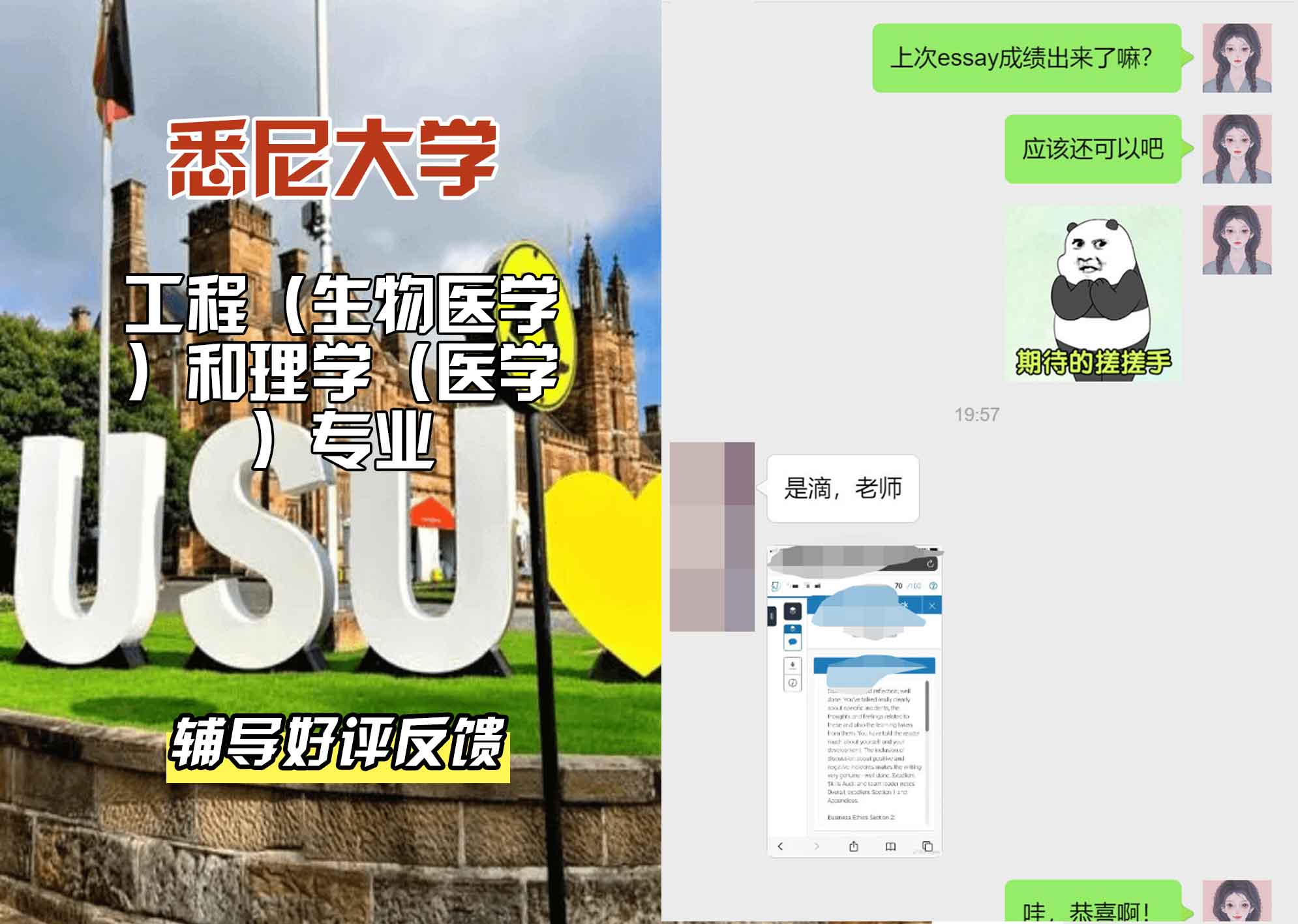悉尼大学USYD工程（生物医学）和理学（医学）辅导好评反馈