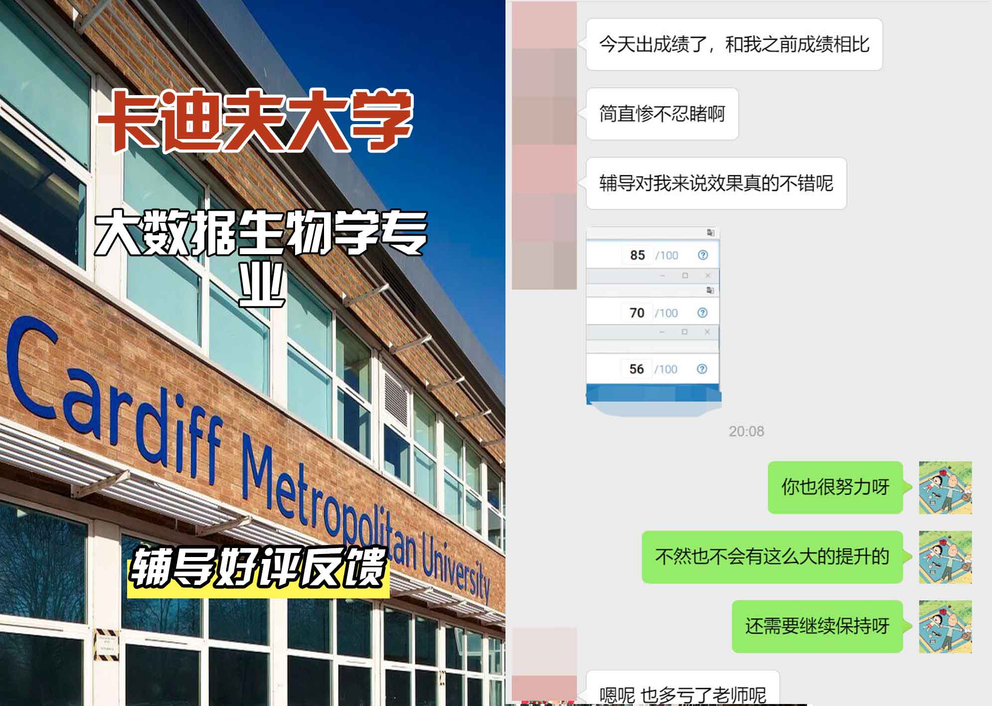 卡迪夫大学cardiff数据生物学辅导好评反馈