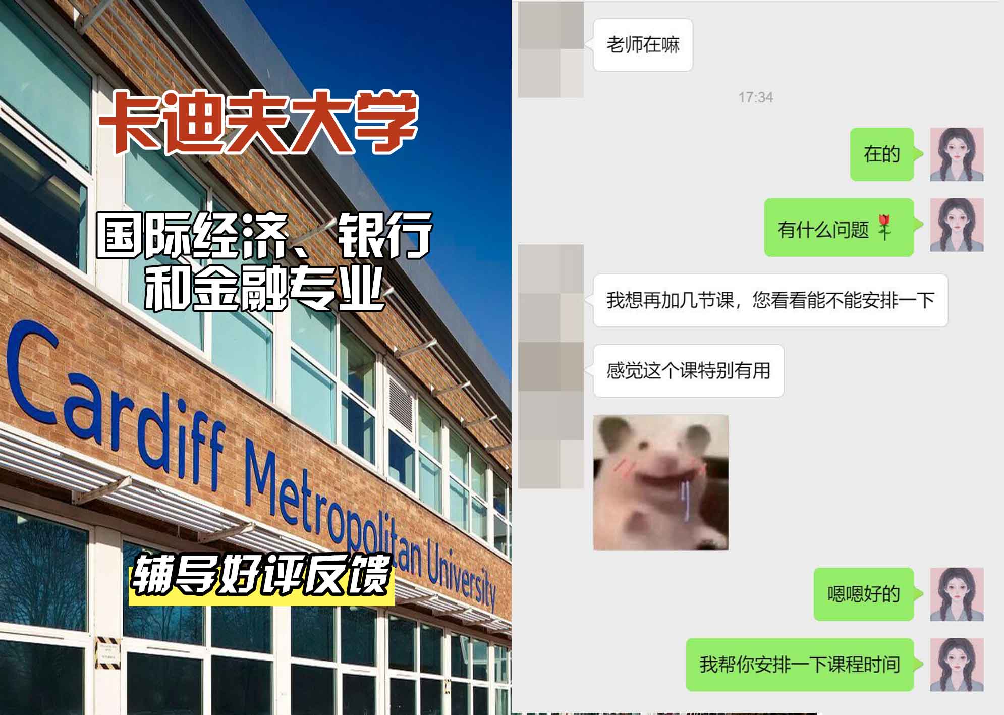 卡迪夫大学cardiff国际经济、银行和金融辅导好评反馈