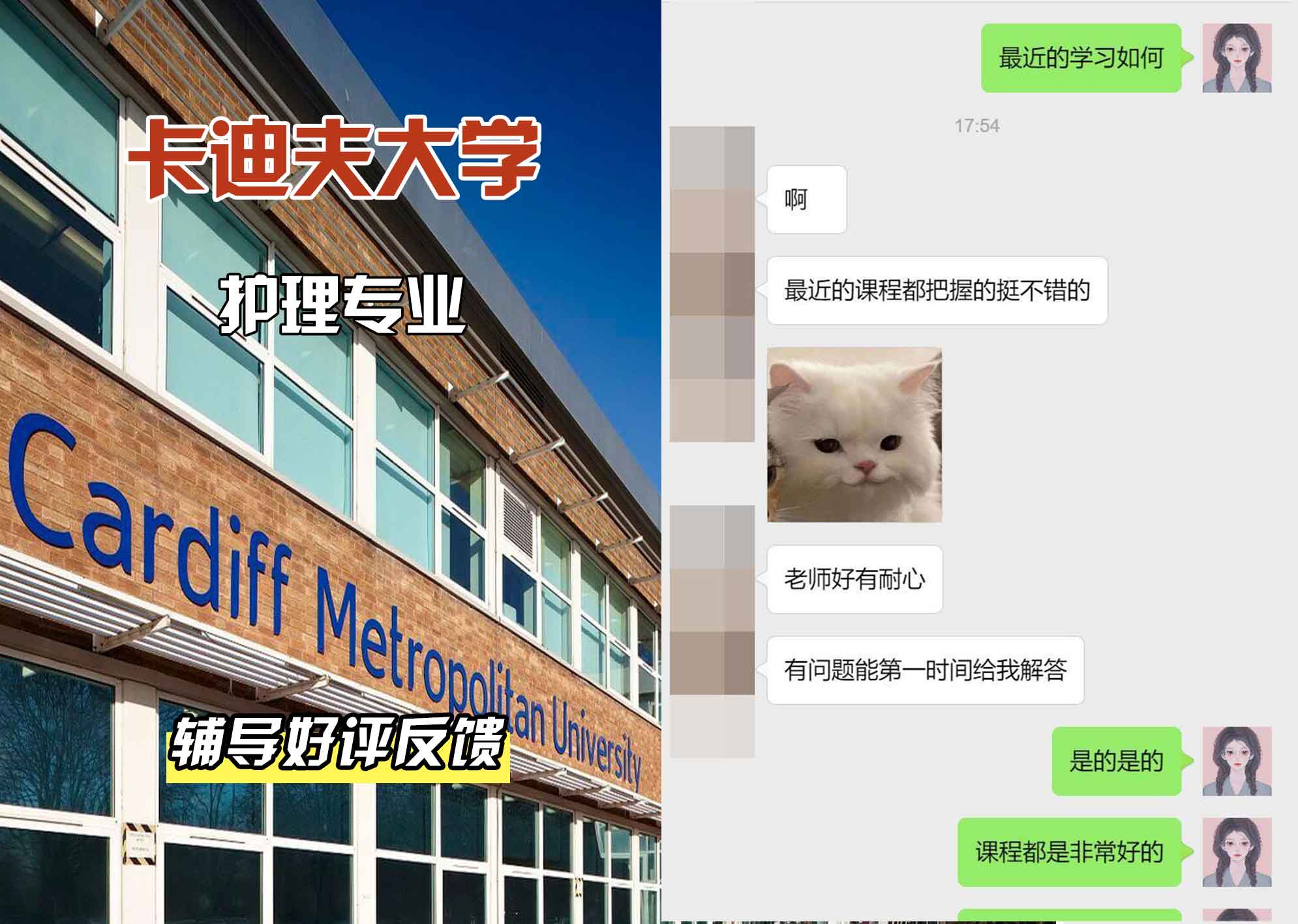 卡迪夫大学cardiff护理辅导好评反馈