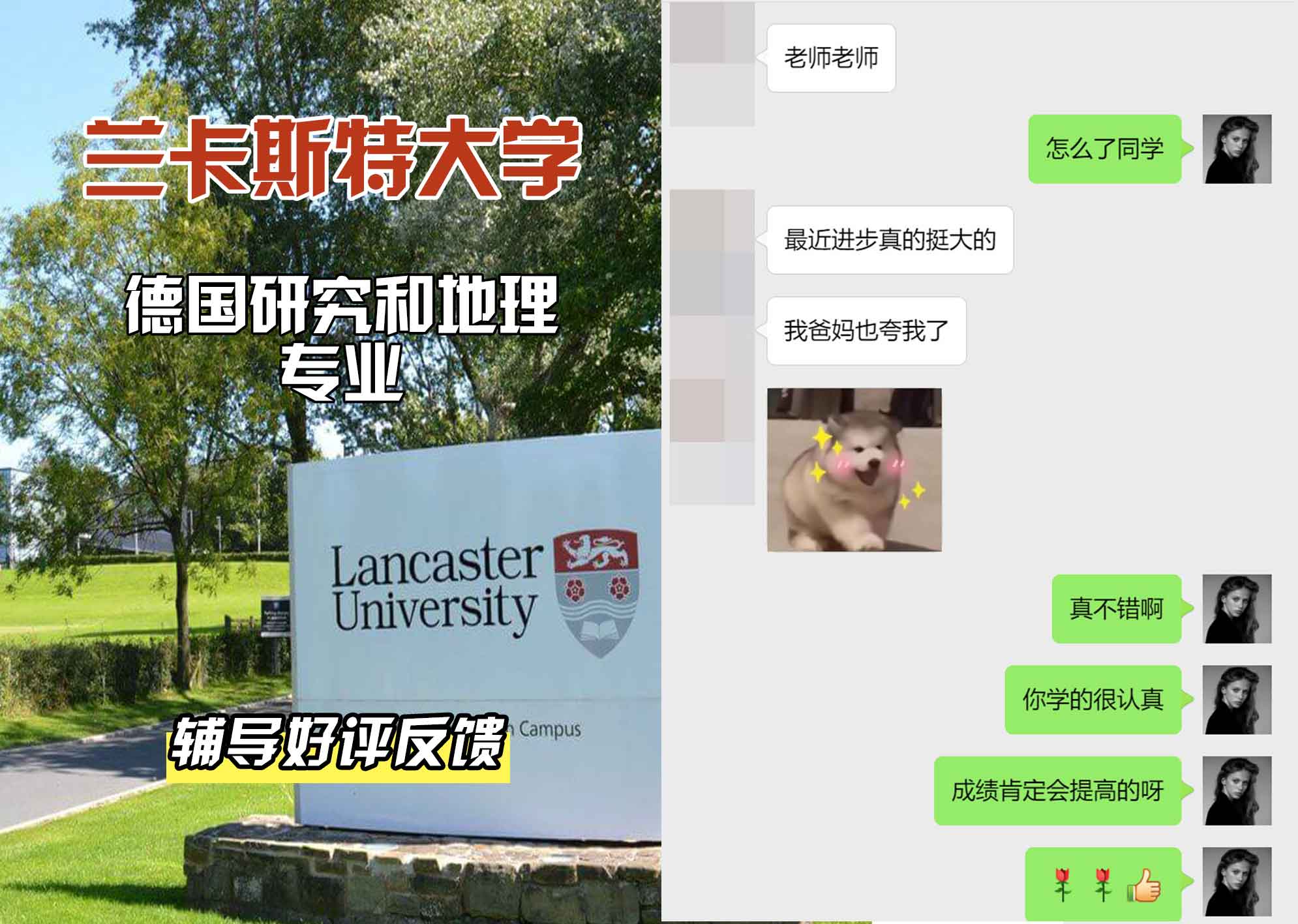 LU兰卡德国研究和地理辅导好评反馈