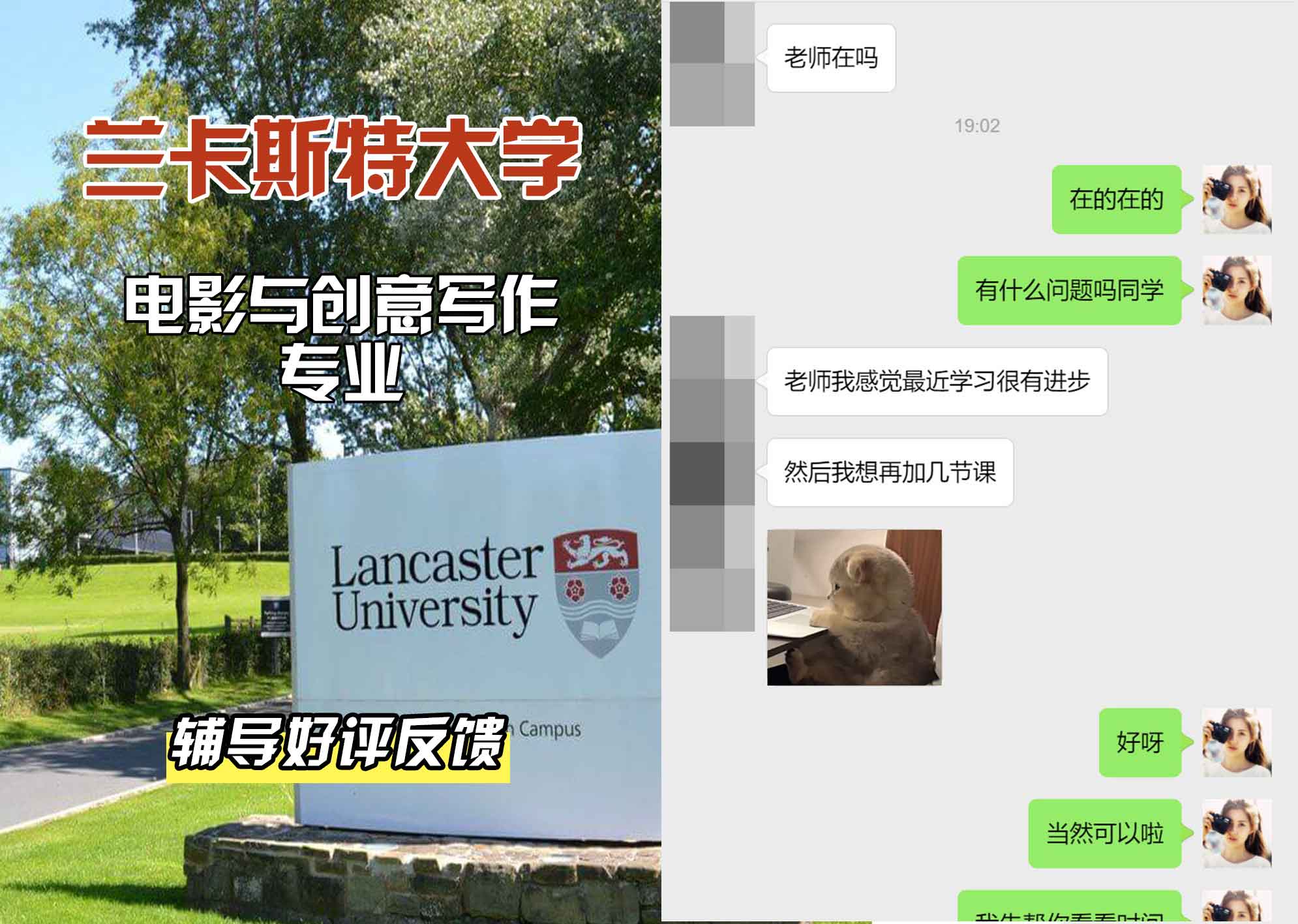 LU兰卡电影与创意写作辅导好评反馈