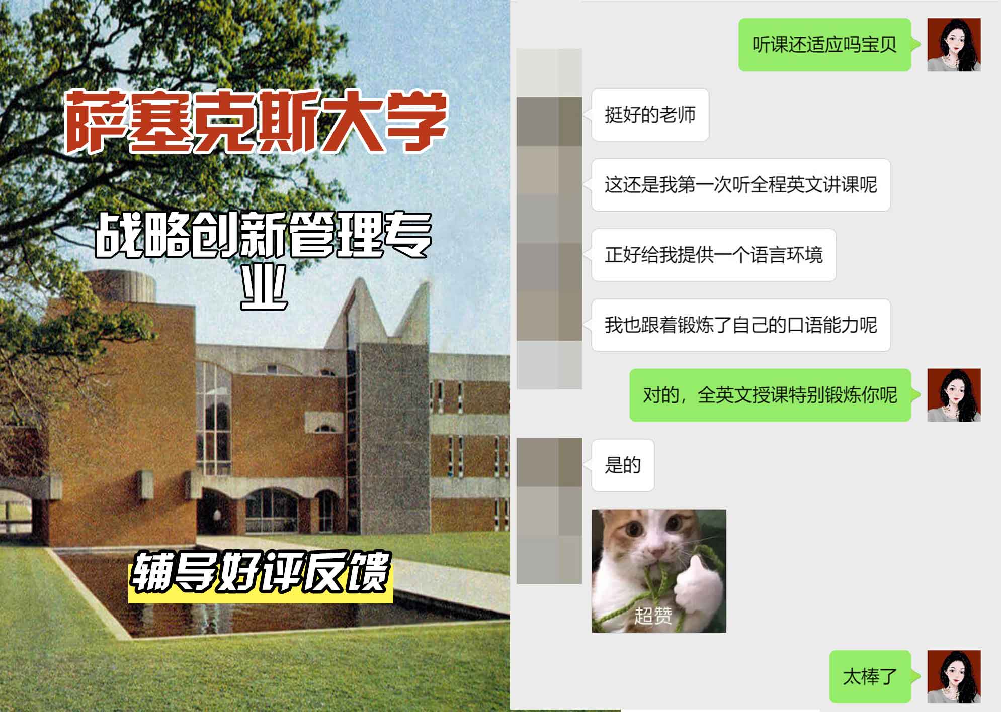 Sussex萨塞克斯大学战略创新管理辅导好评反馈