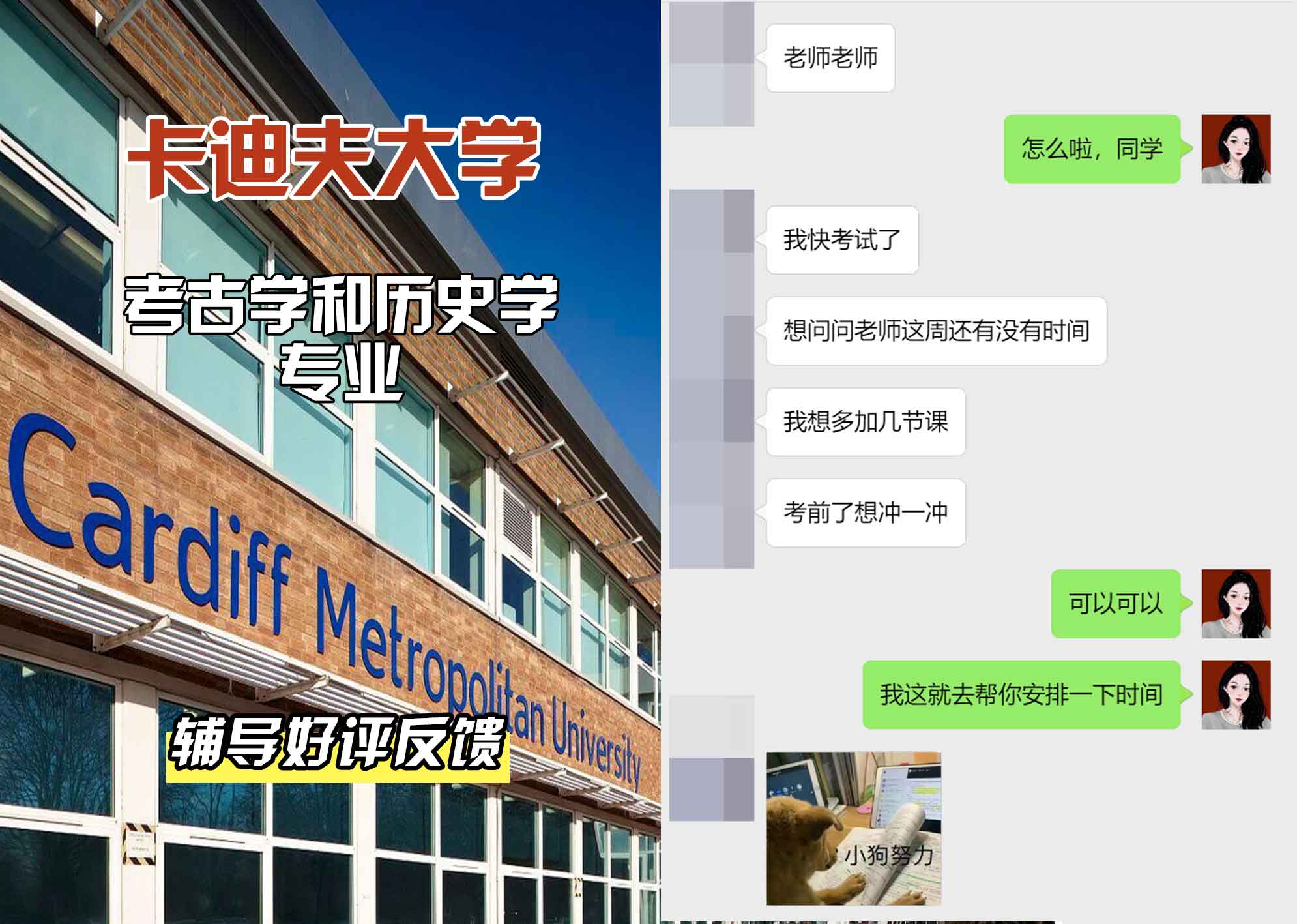 卡迪夫大学cardiff考古学和历史学辅导好评反馈