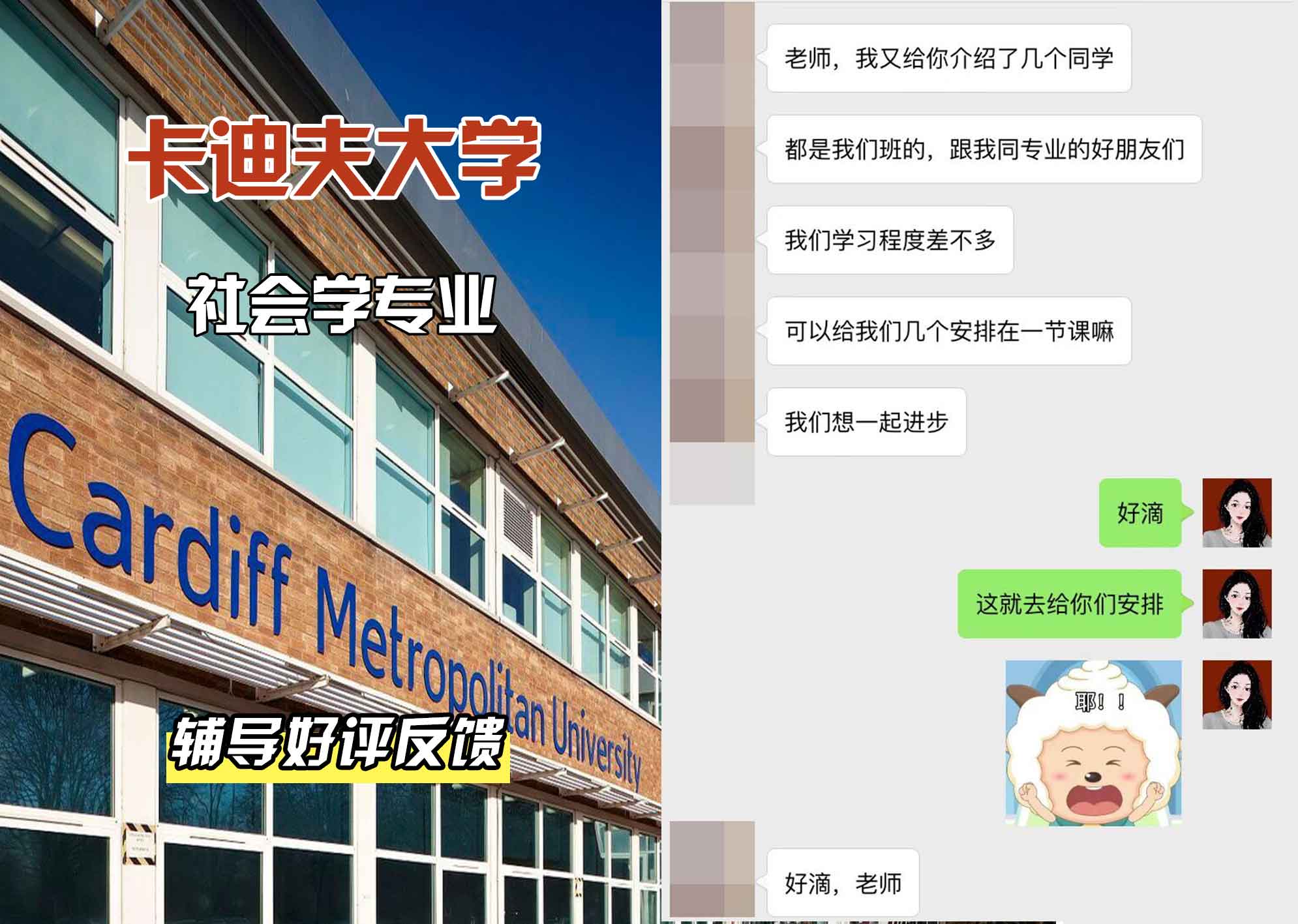 卡迪夫大学cardiff社会学辅导好评反馈