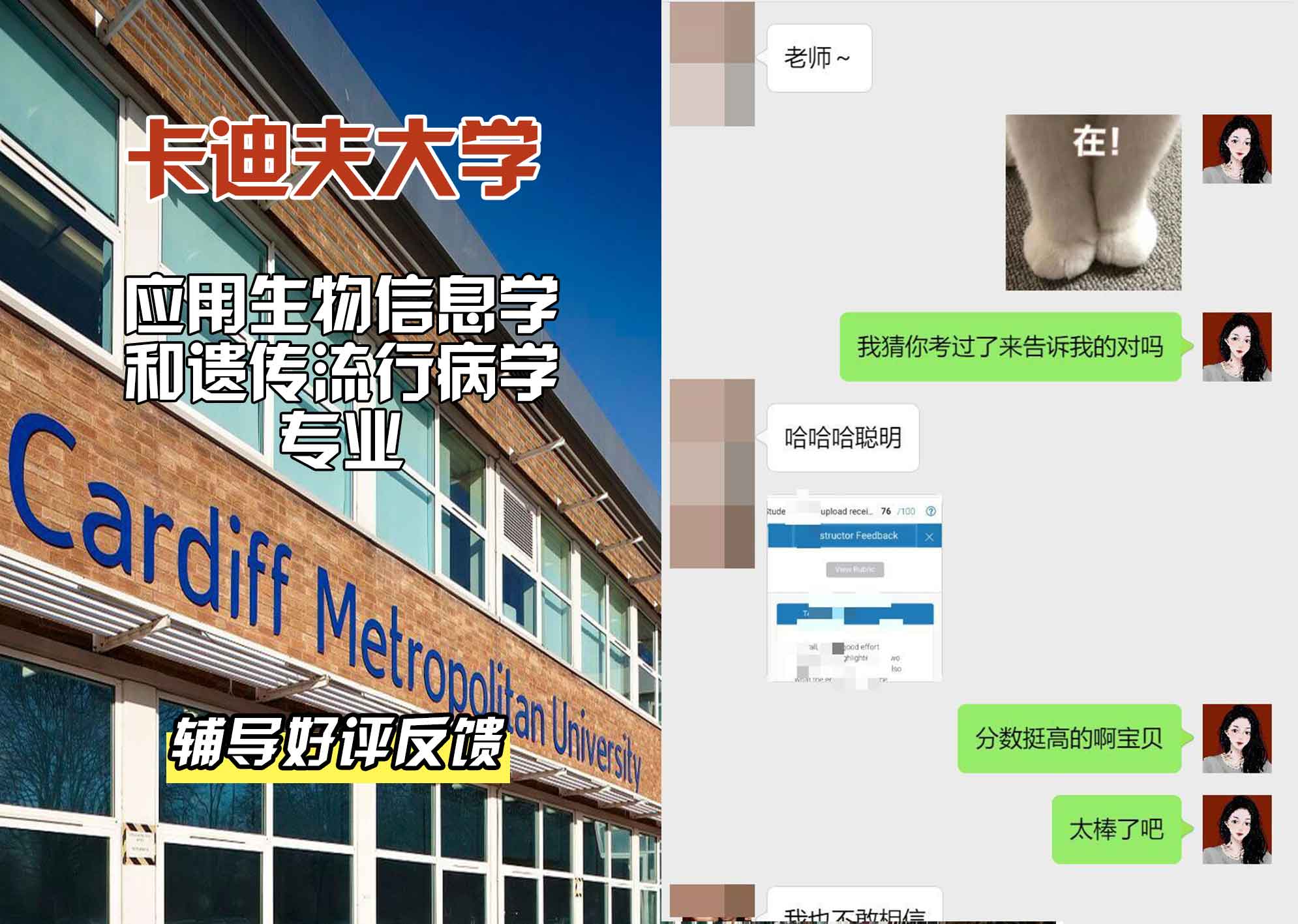 卡迪夫大学cardiff应用生物信息学和遗传流行病学辅导好评反馈