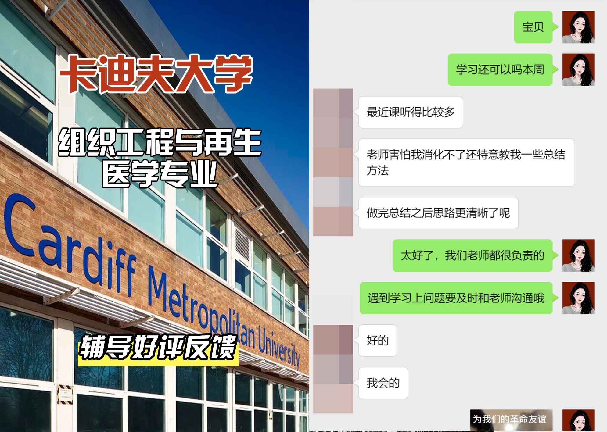 卡迪夫大学cardiff组织工程与再生医学辅导好评反馈