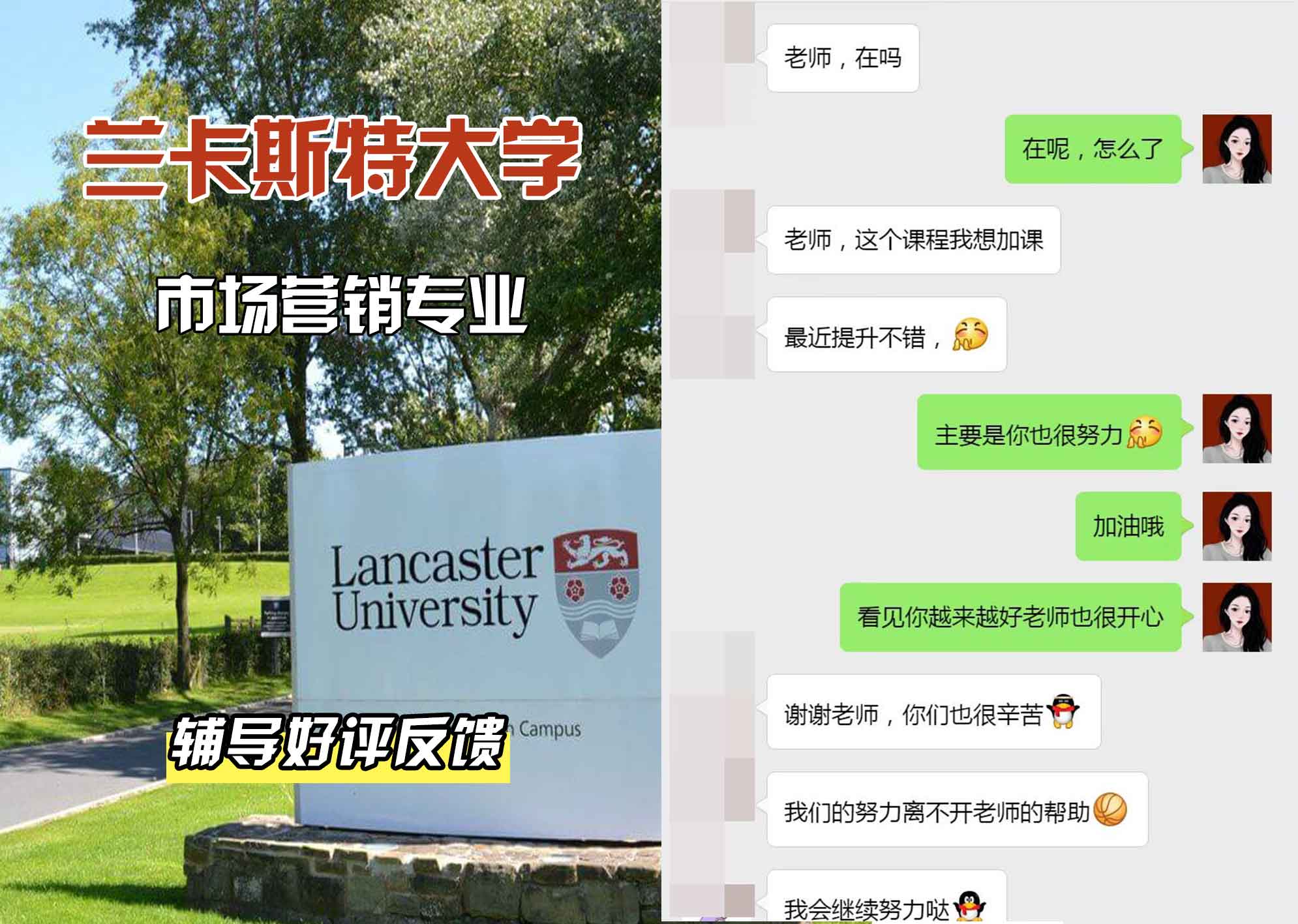 LU兰卡市场营销辅导好评反馈