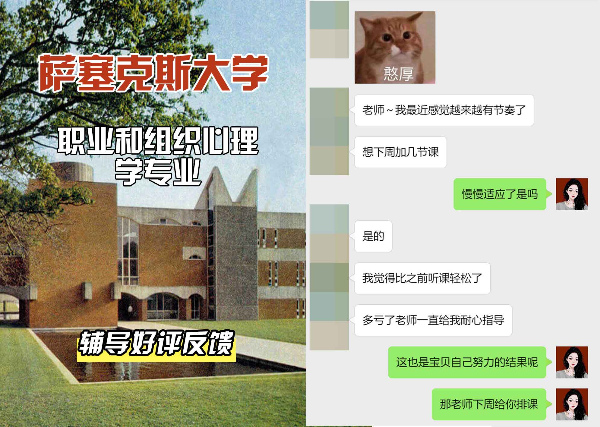 Sussex萨塞克斯大学职业和组织心理学辅导好评反馈