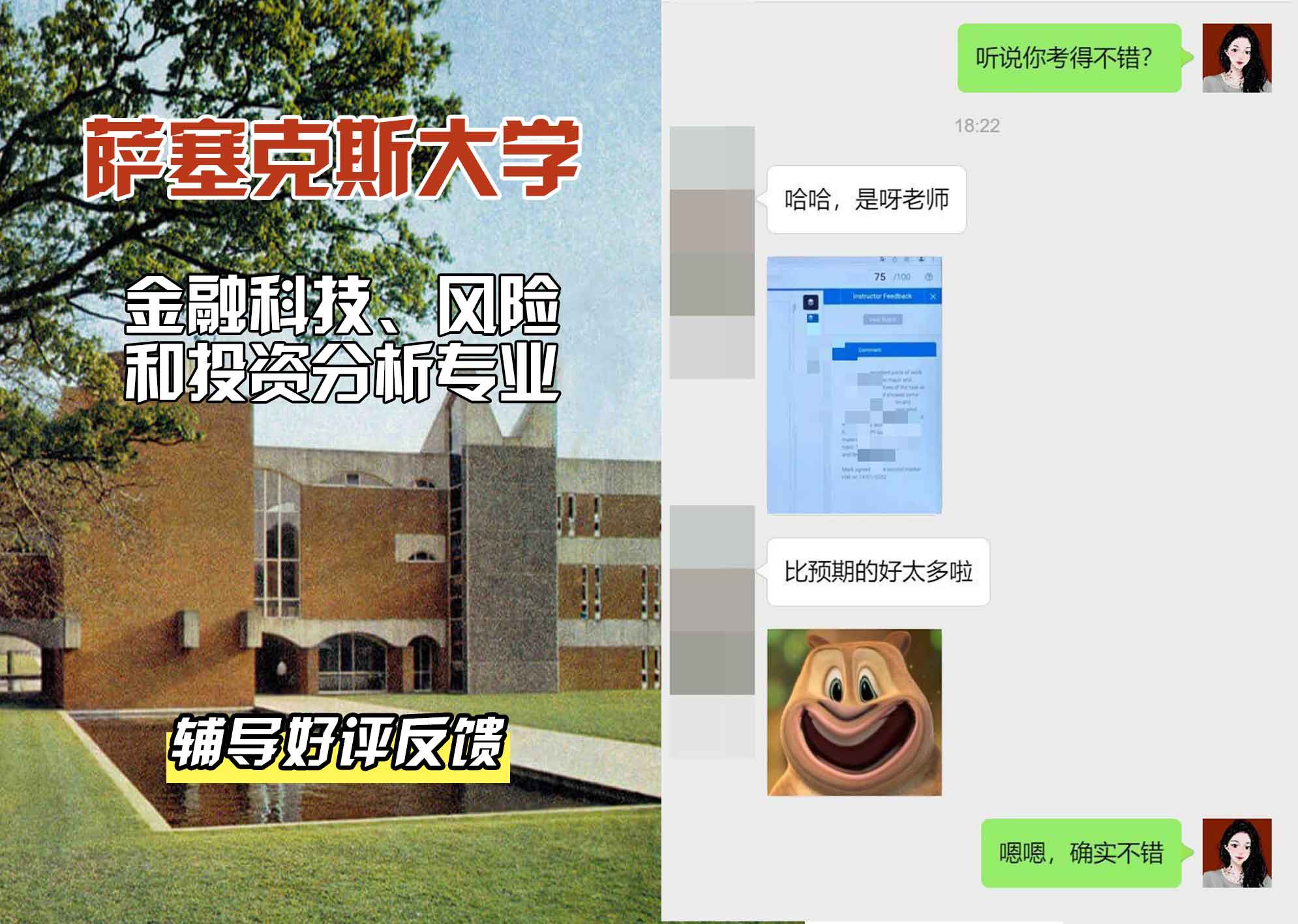 Sussex萨塞克斯大学金融科技、风险和投资分析辅导好评反馈