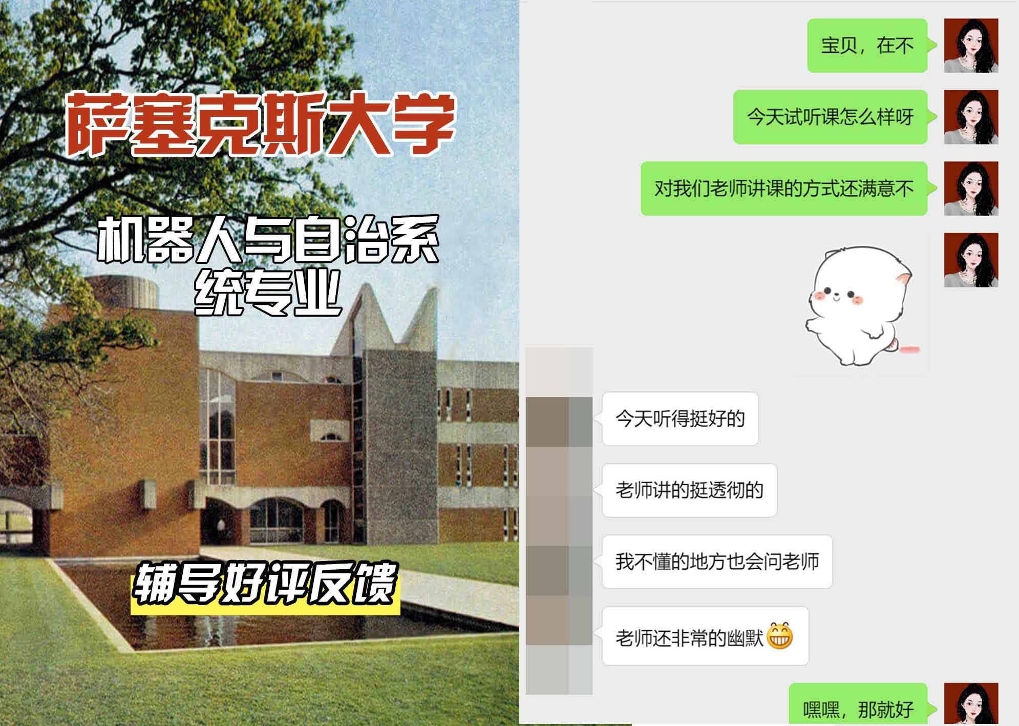 Sussex萨塞克斯大学机器人与自治系统辅导好评反馈