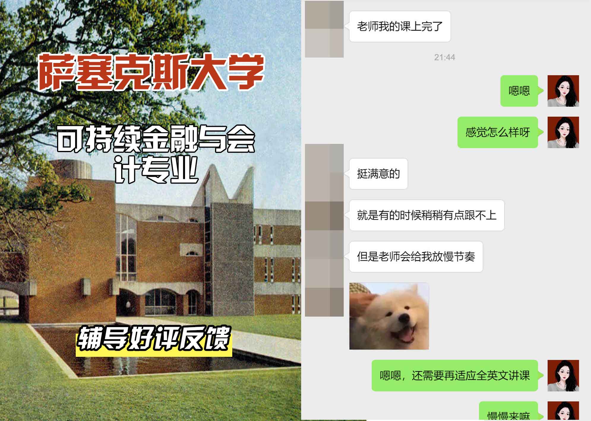 Sussex萨塞克斯大学可持续金融与会计辅导好评反馈