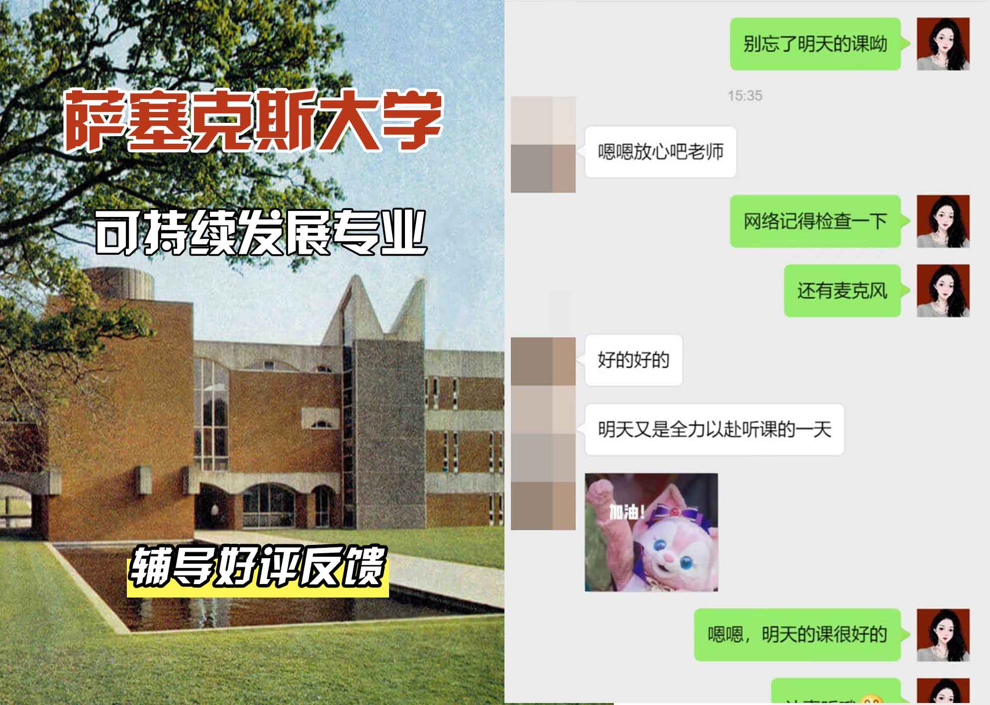 Sussex萨塞克斯大学可持续发展辅导好评反馈