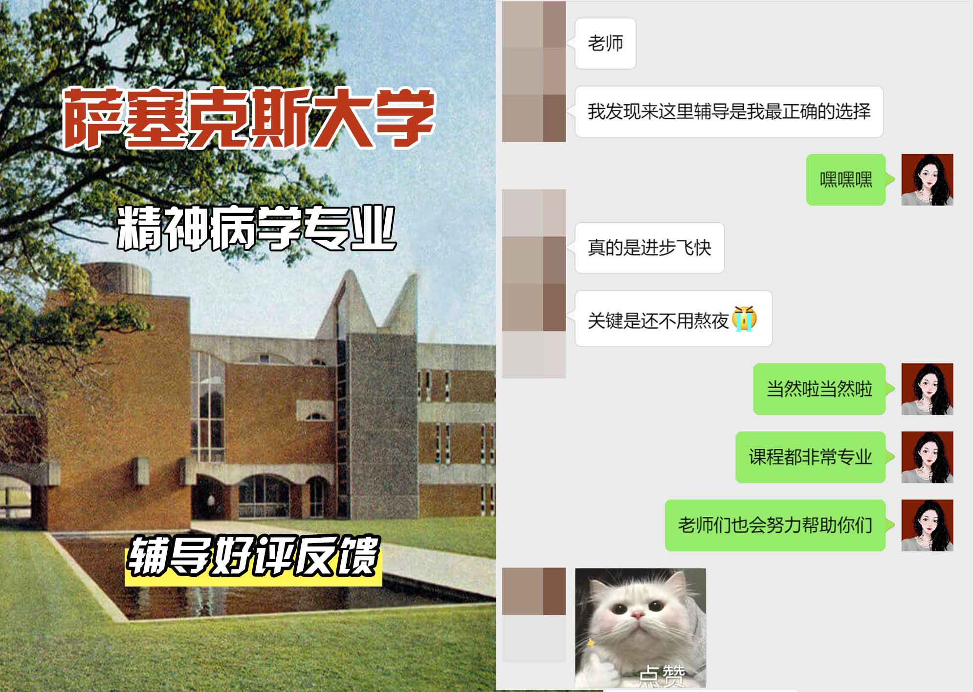 Sussex萨塞克斯大学精神病学辅导好评反馈