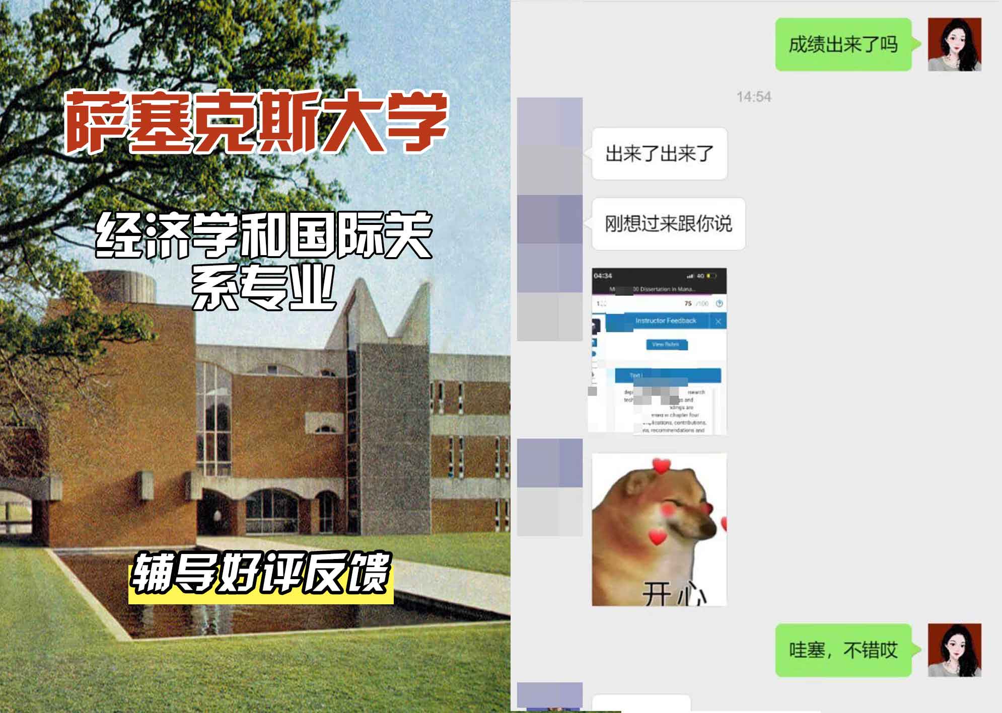 Sussex萨塞克斯大学经济学和国际关系辅导好评反馈