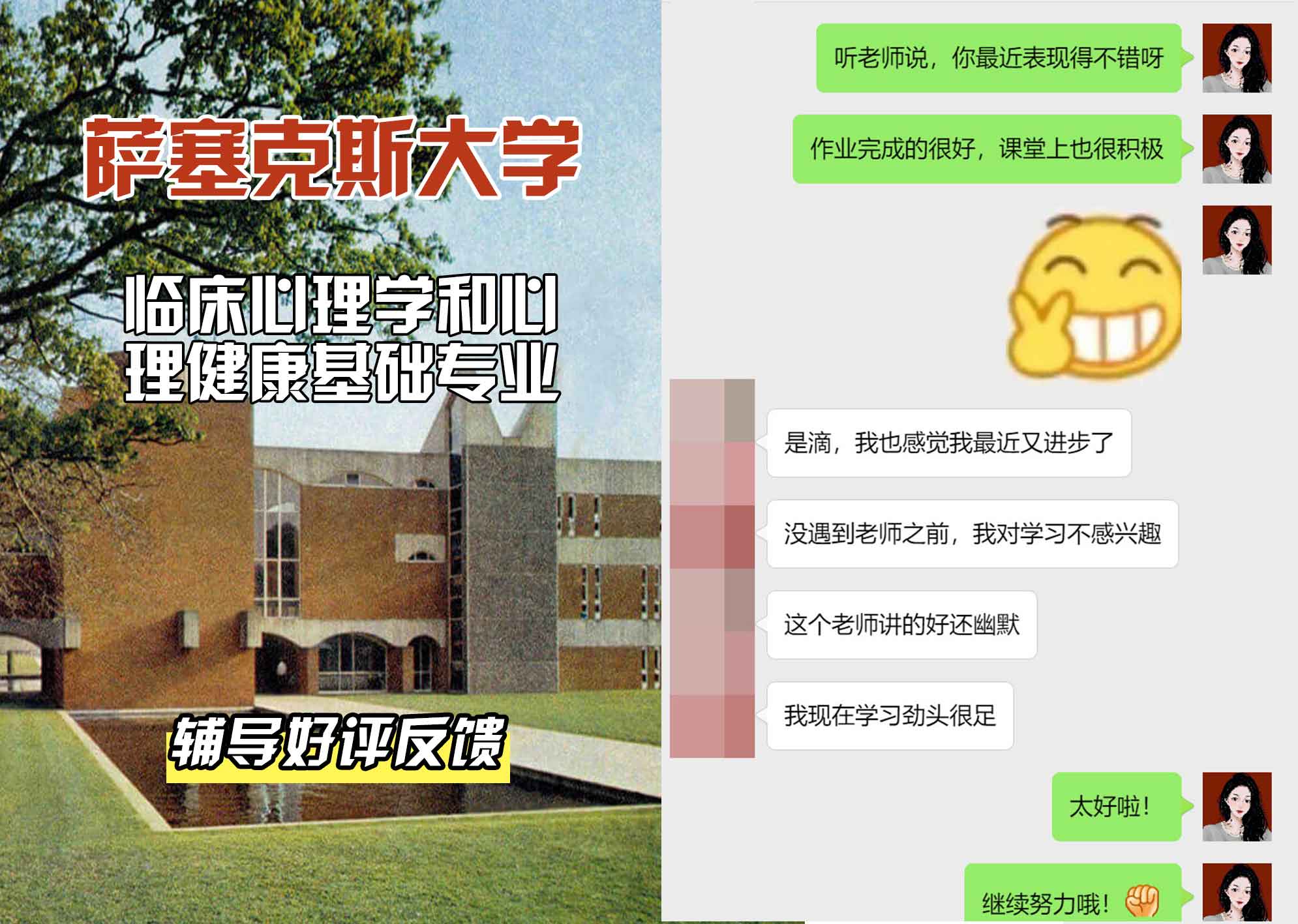 Sussex萨塞克斯大学临床心理学和心理健康基础辅导好评反馈